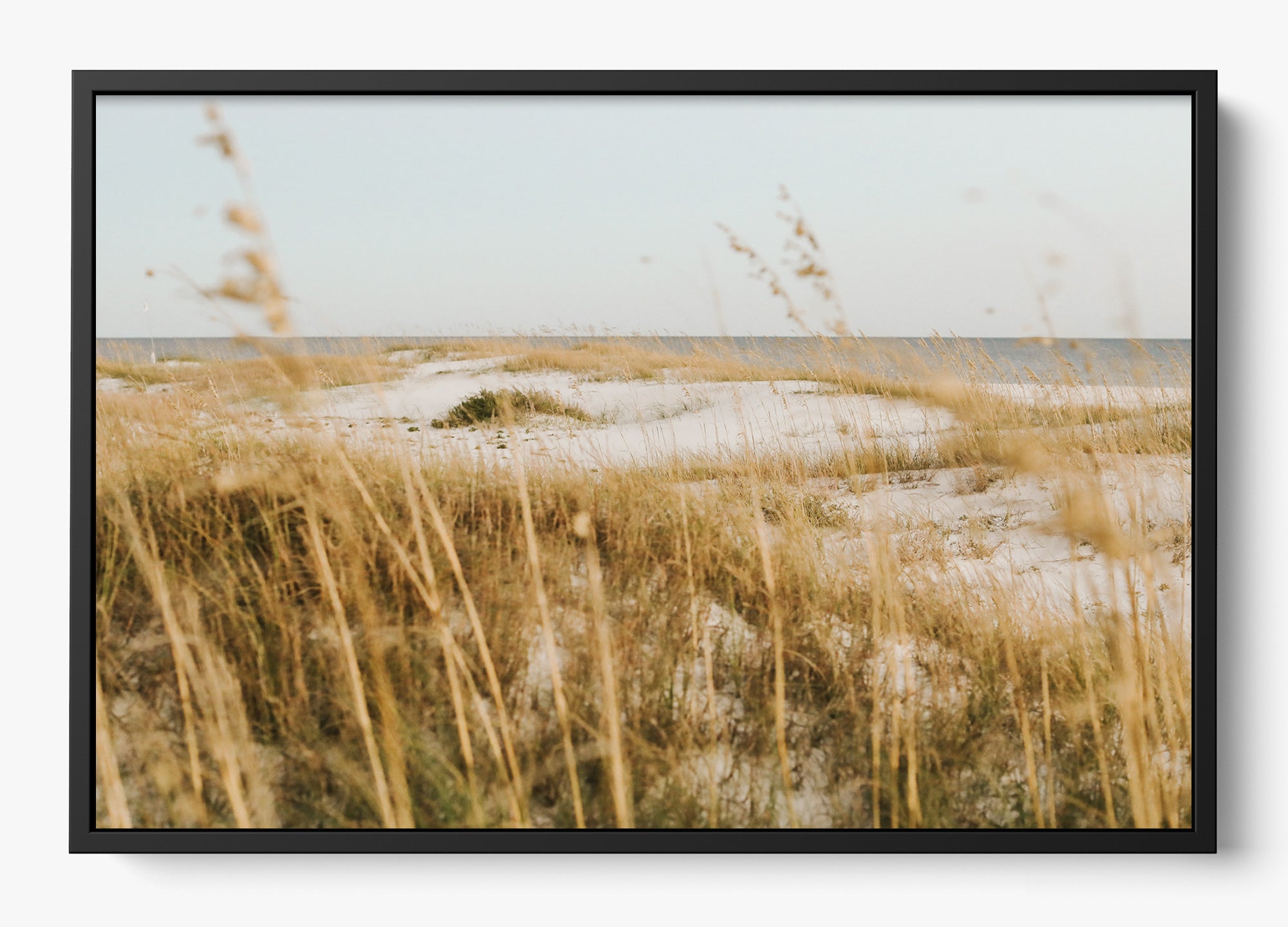 On The Dunes