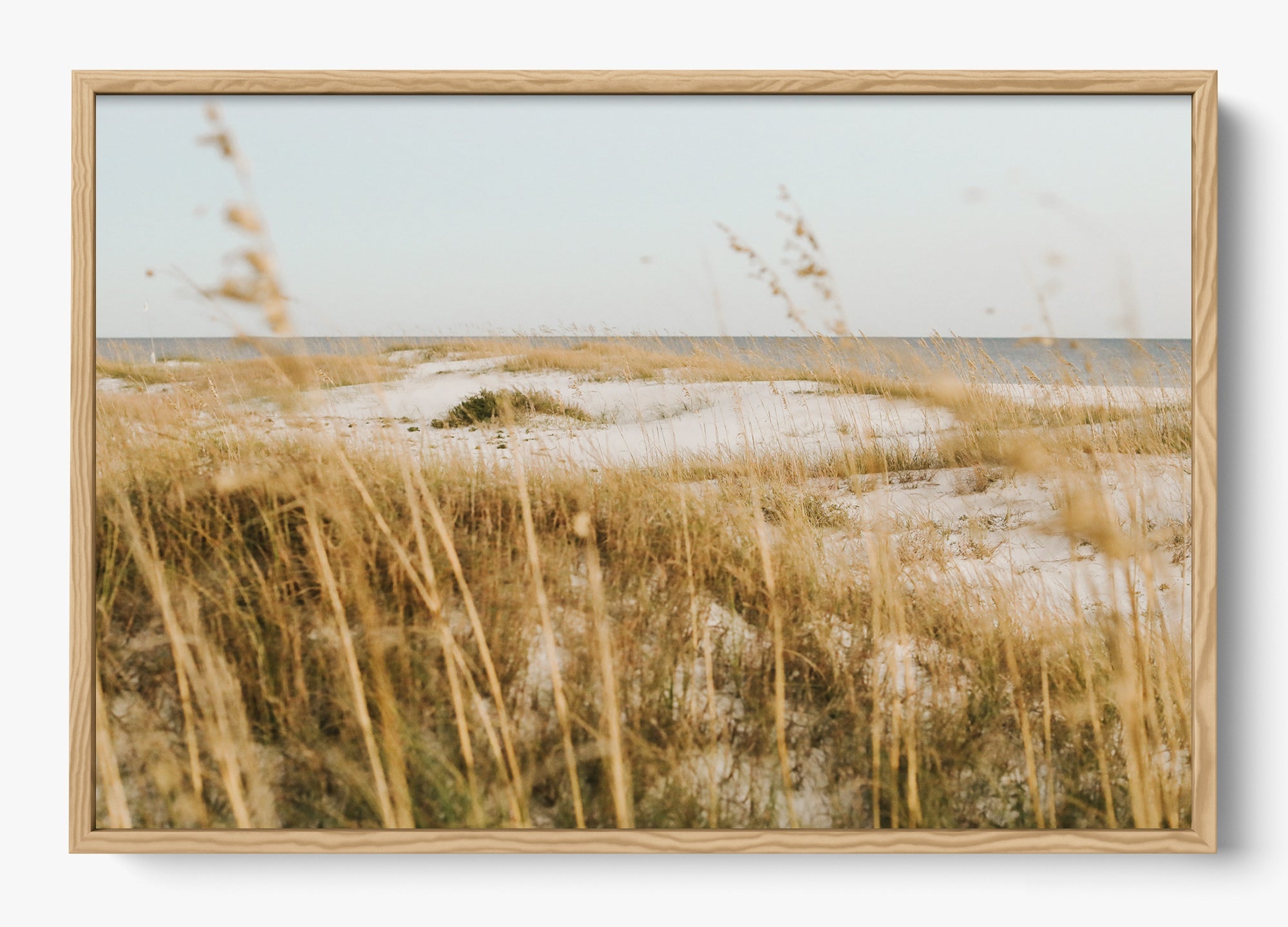 On The Dunes