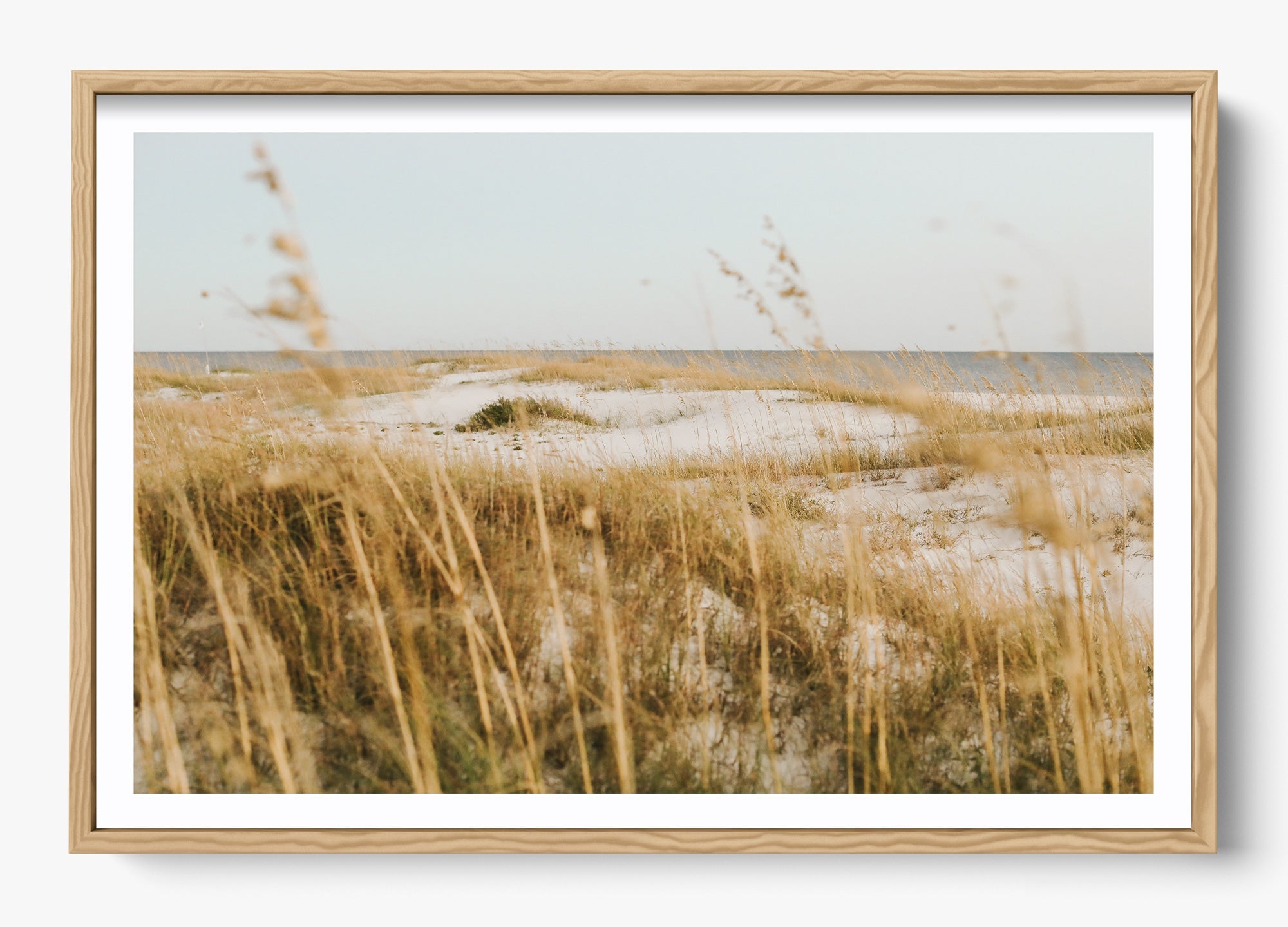 On The Dunes