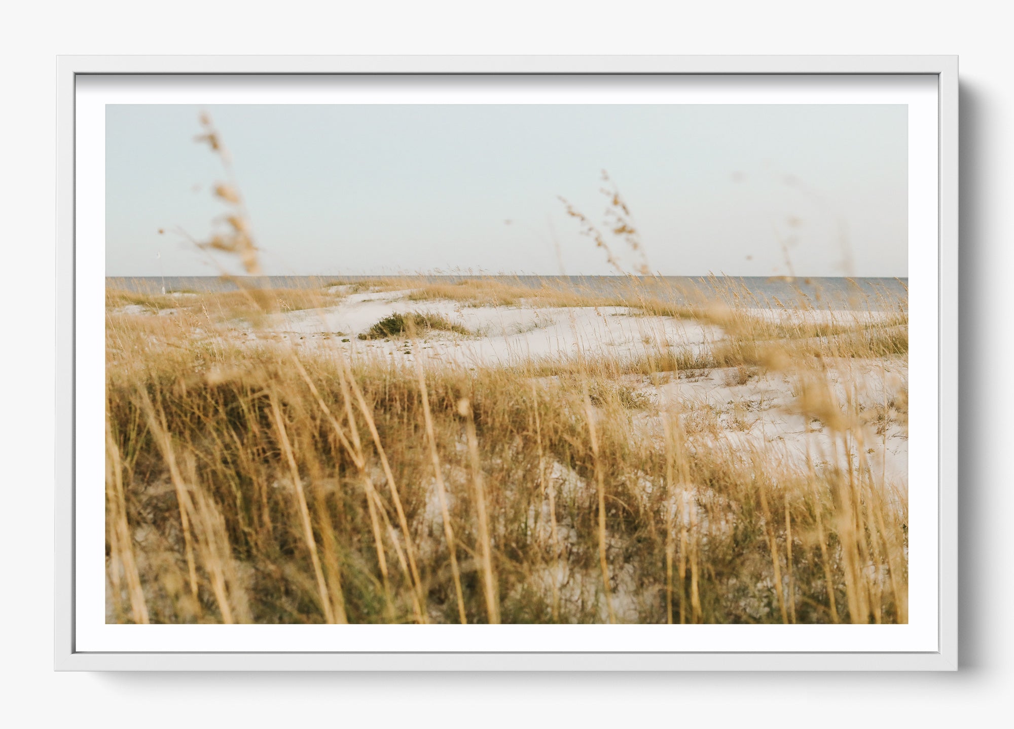 On The Dunes