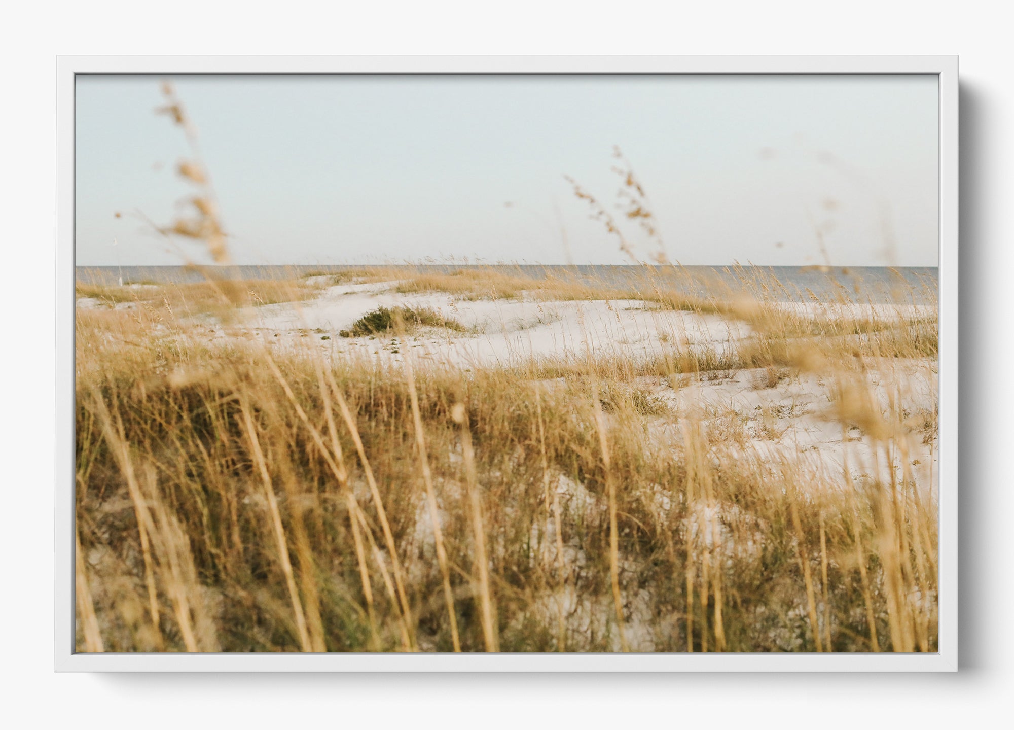 On The Dunes