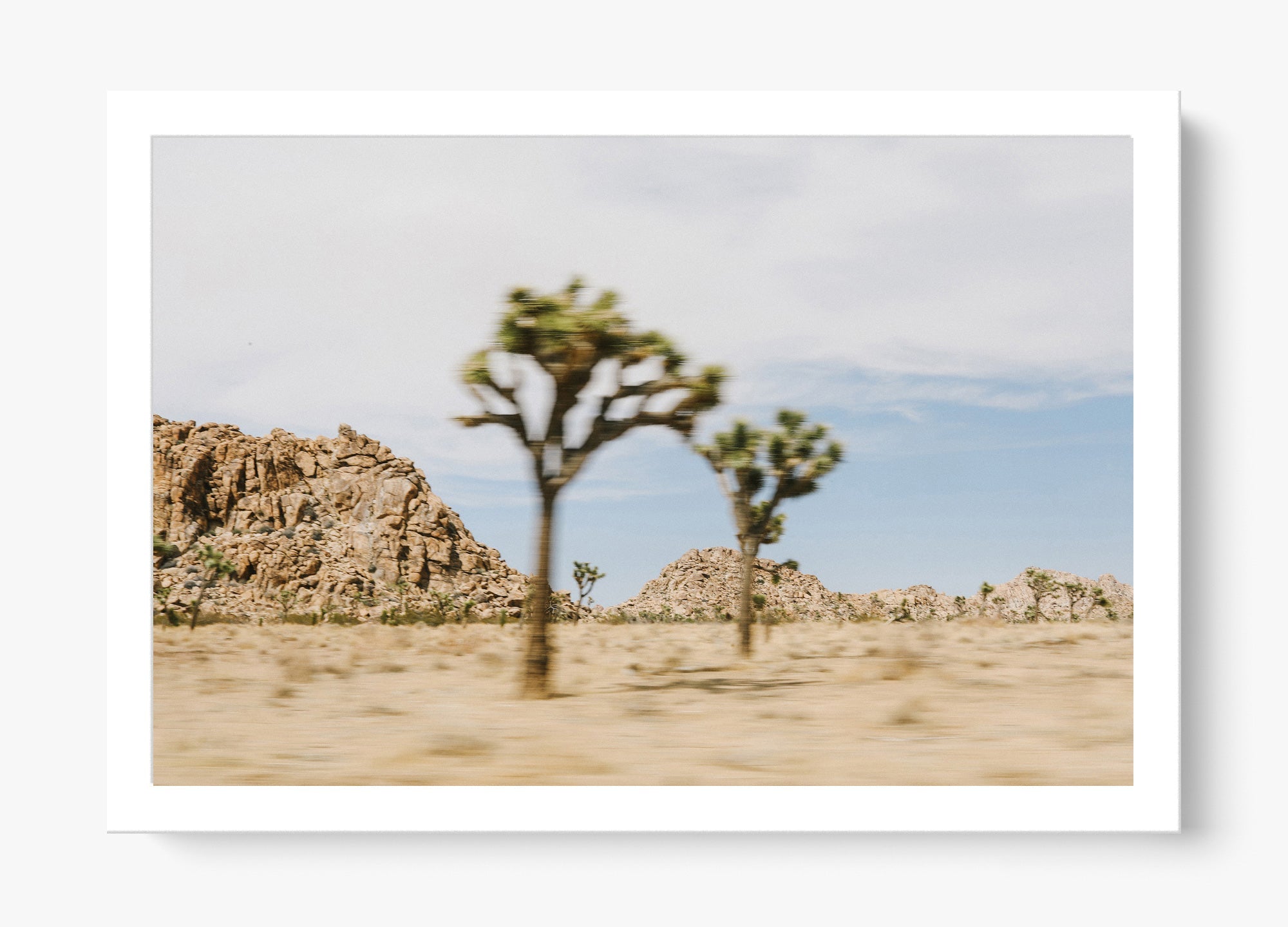 On The Move Joshua Tree