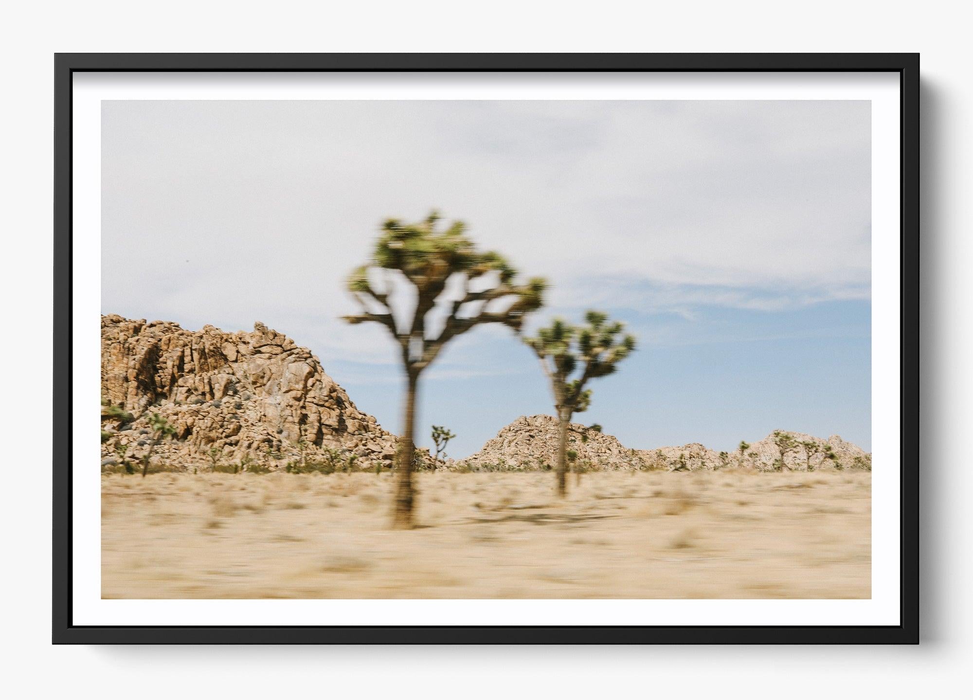 On The Move Joshua Tree