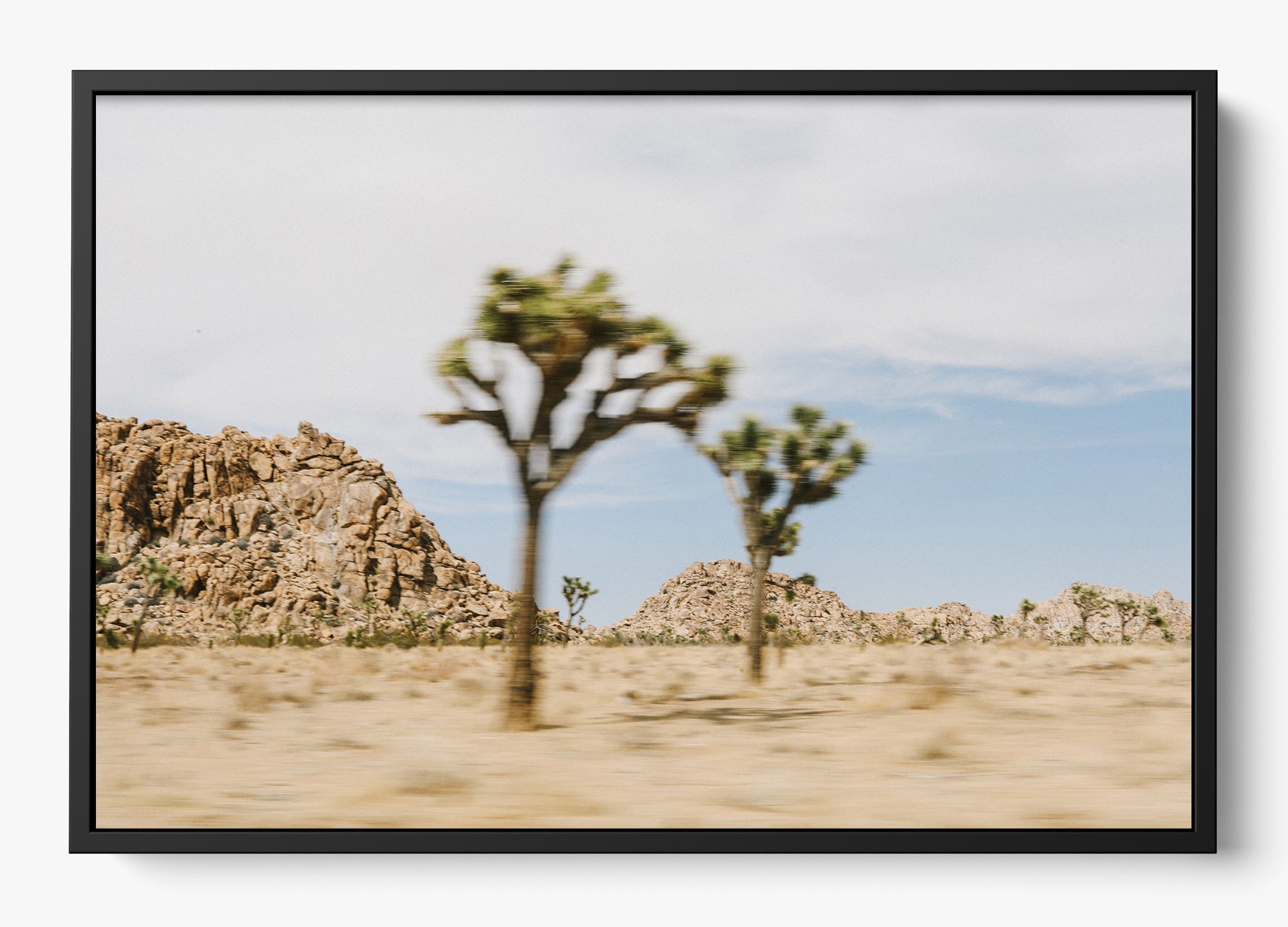 On The Move Joshua Tree