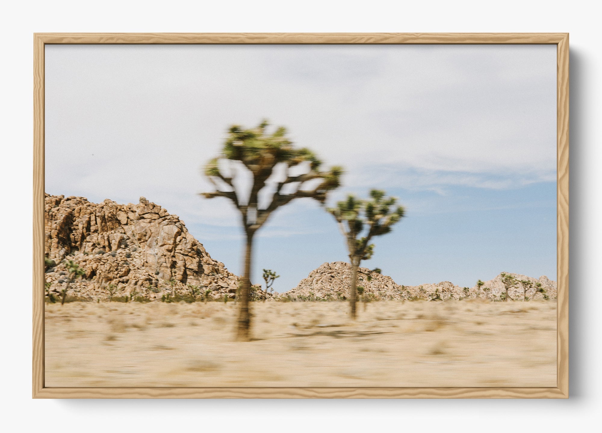 On The Move Joshua Tree