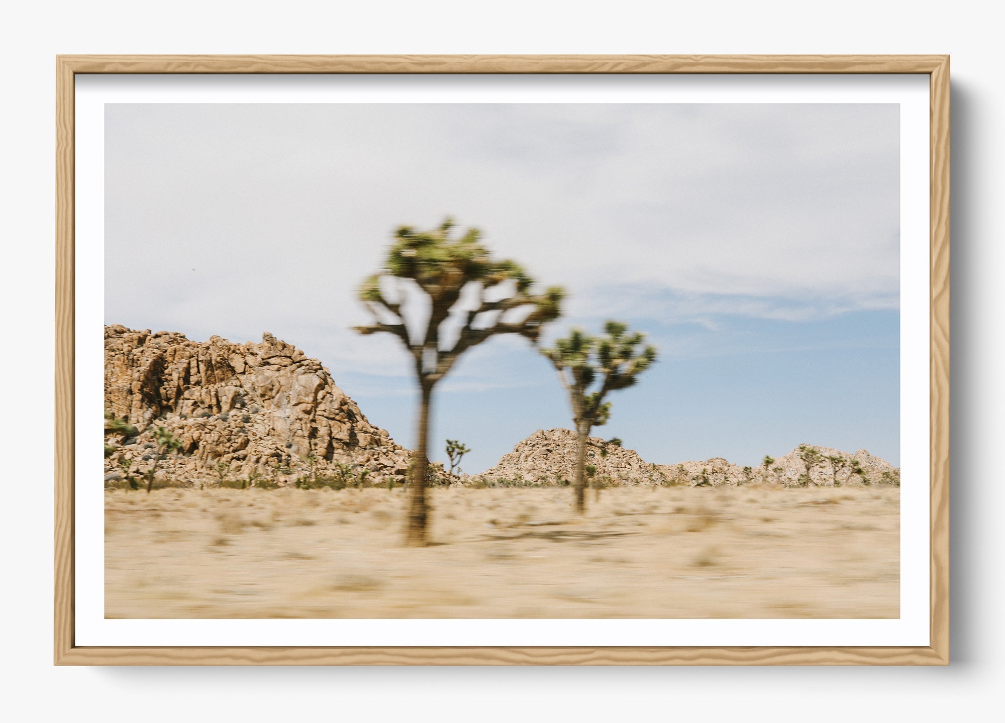 On The Move Joshua Tree