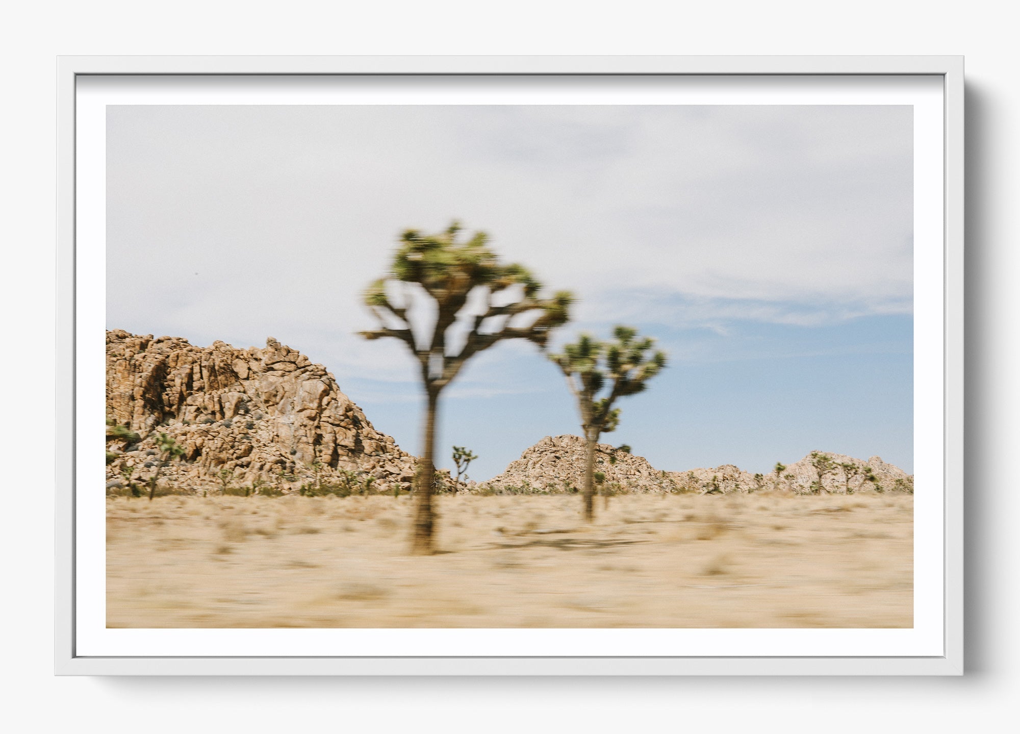 On The Move Joshua Tree