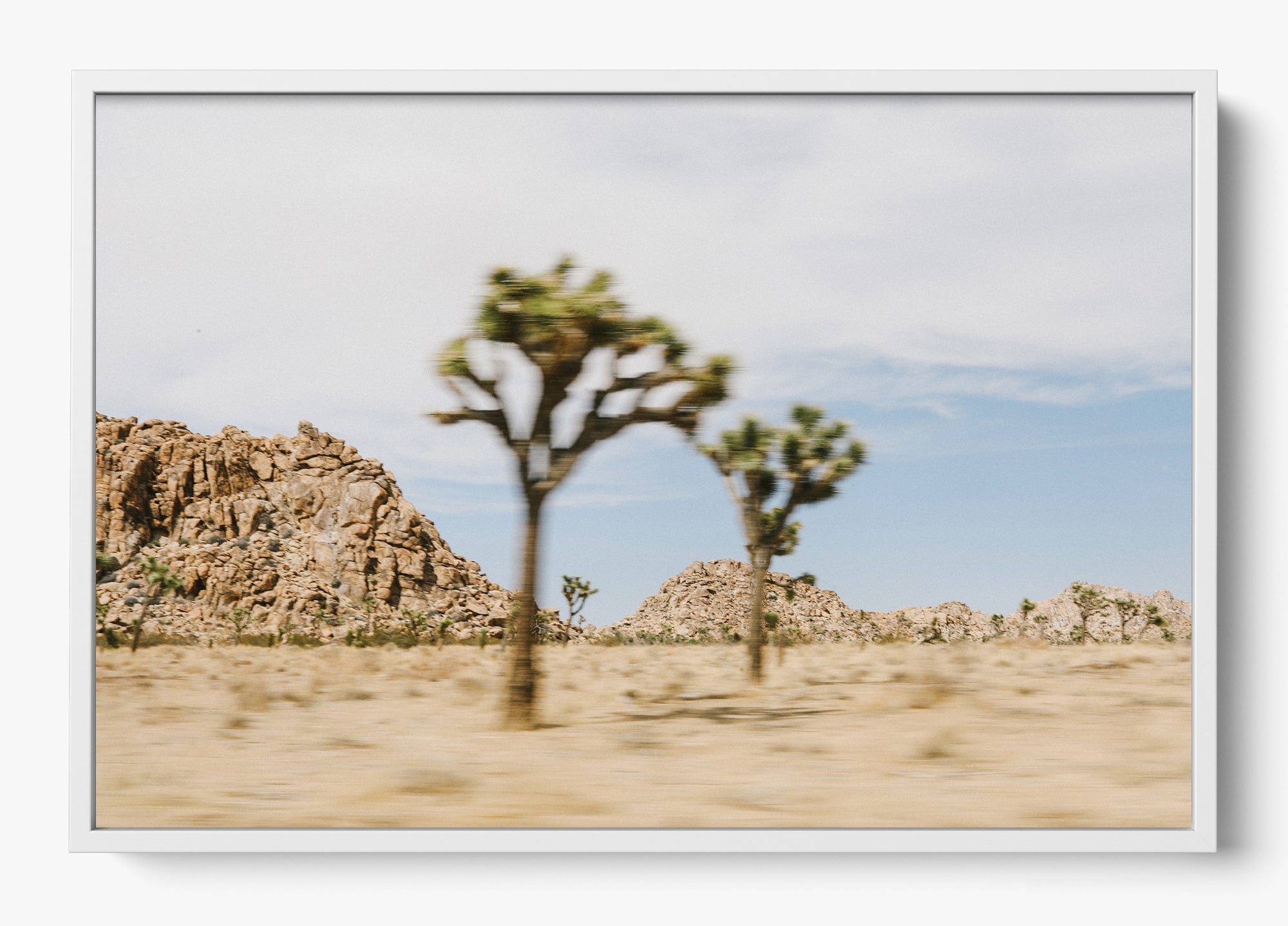 On The Move Joshua Tree