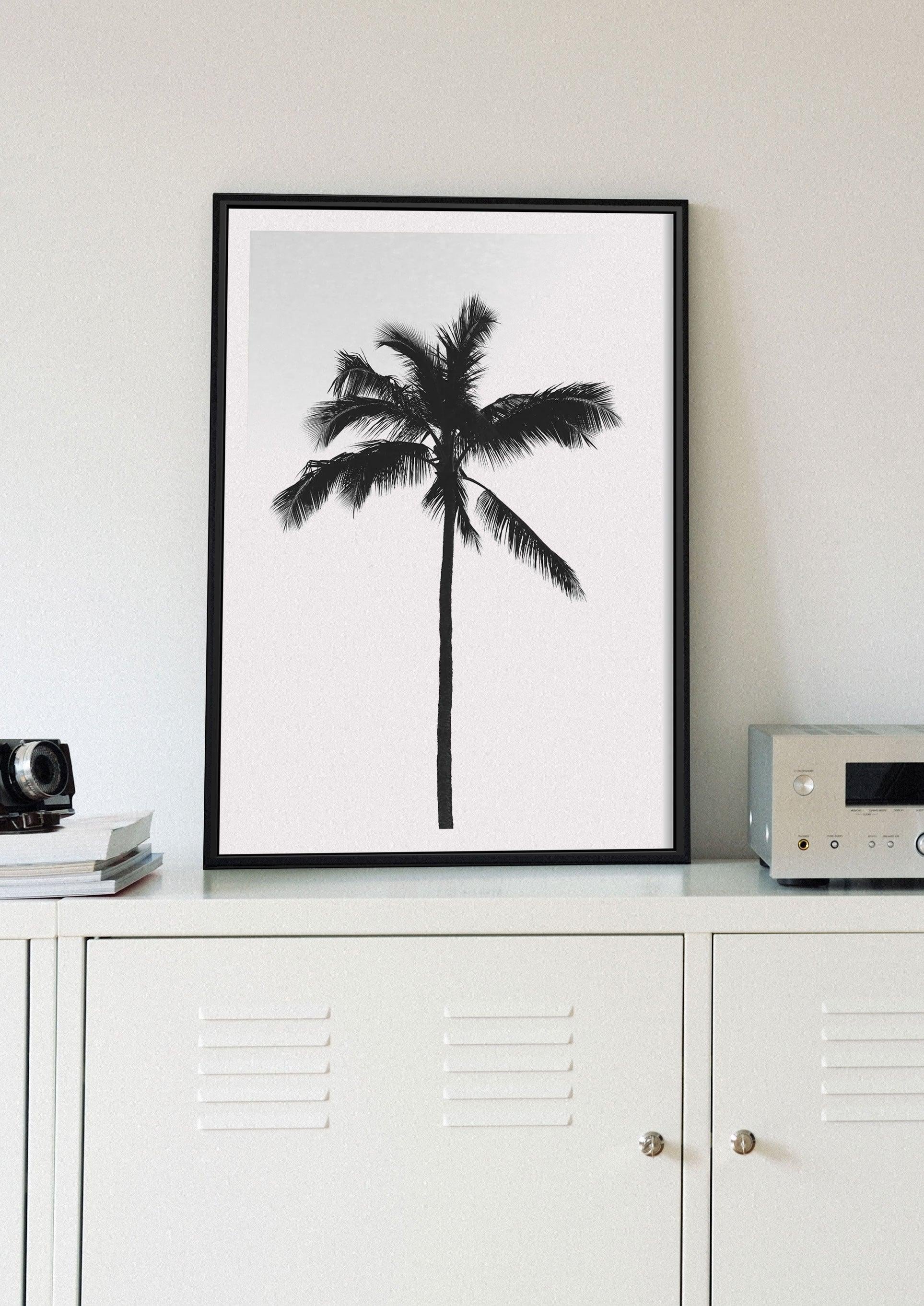 The Black Palm