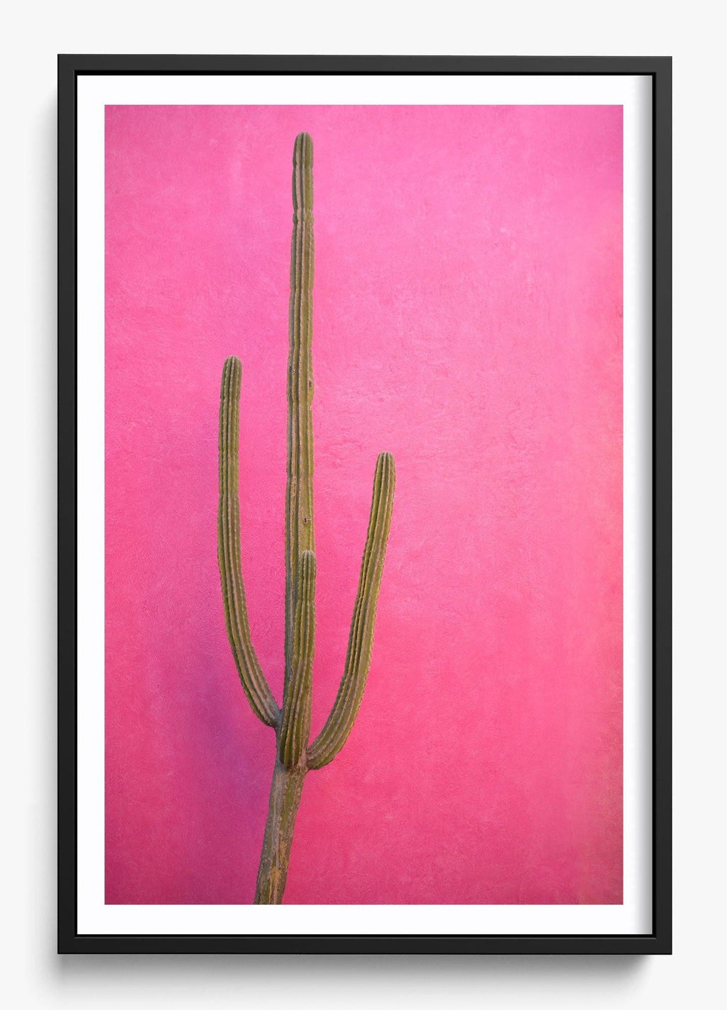 Cactus Pink