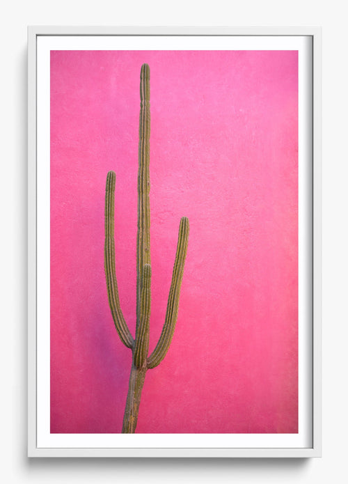 Cactus Pink