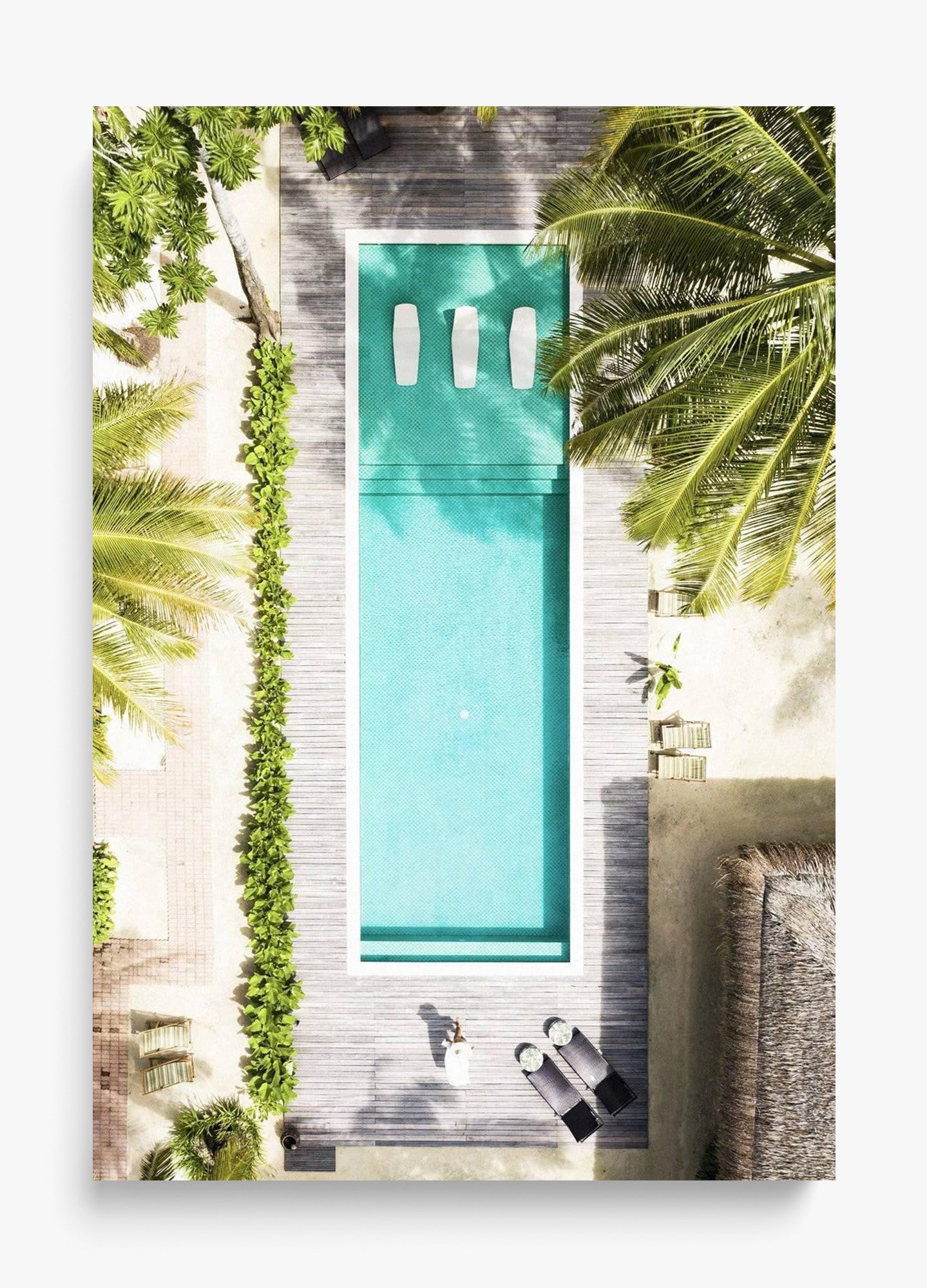 Poolside Paradise