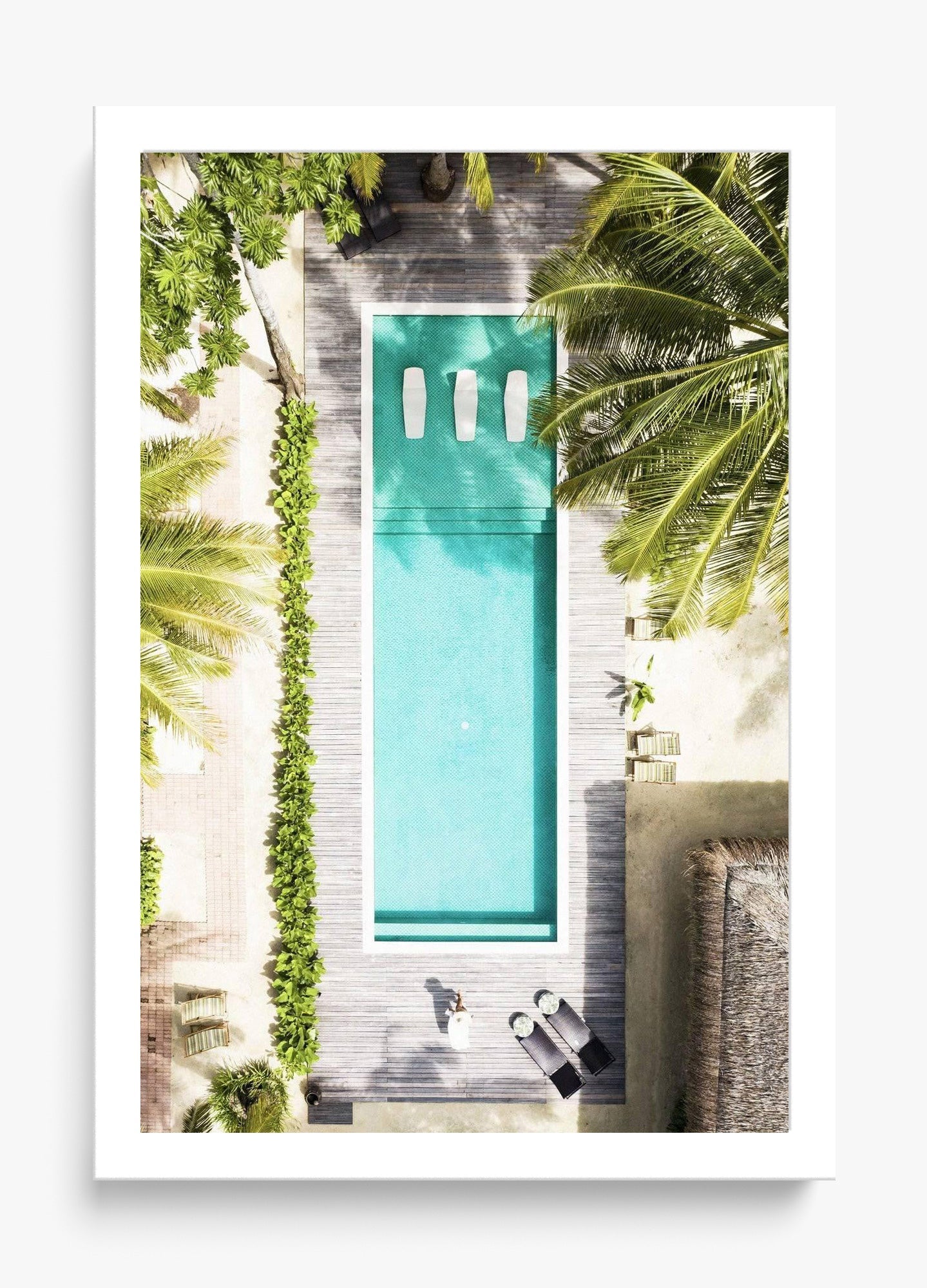 Poolside Paradise