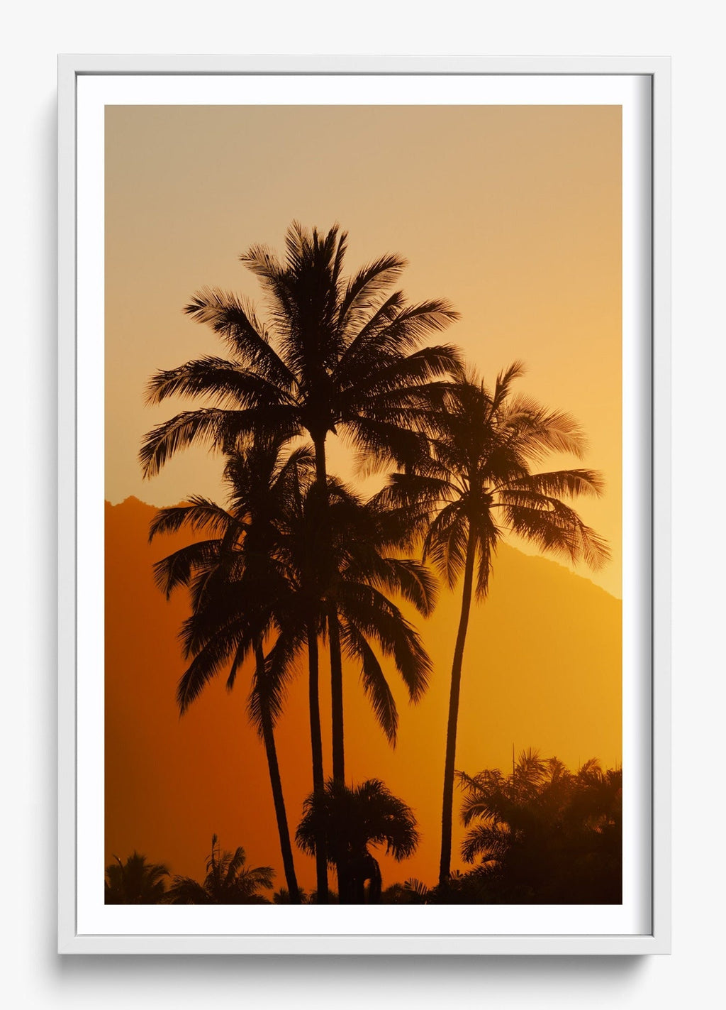 Palms At Sunrise