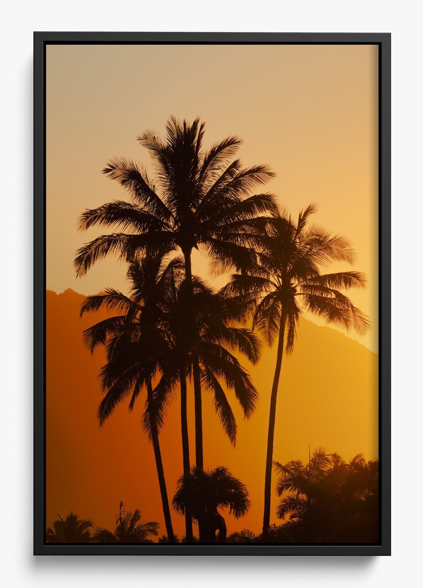 Palms At Sunrise