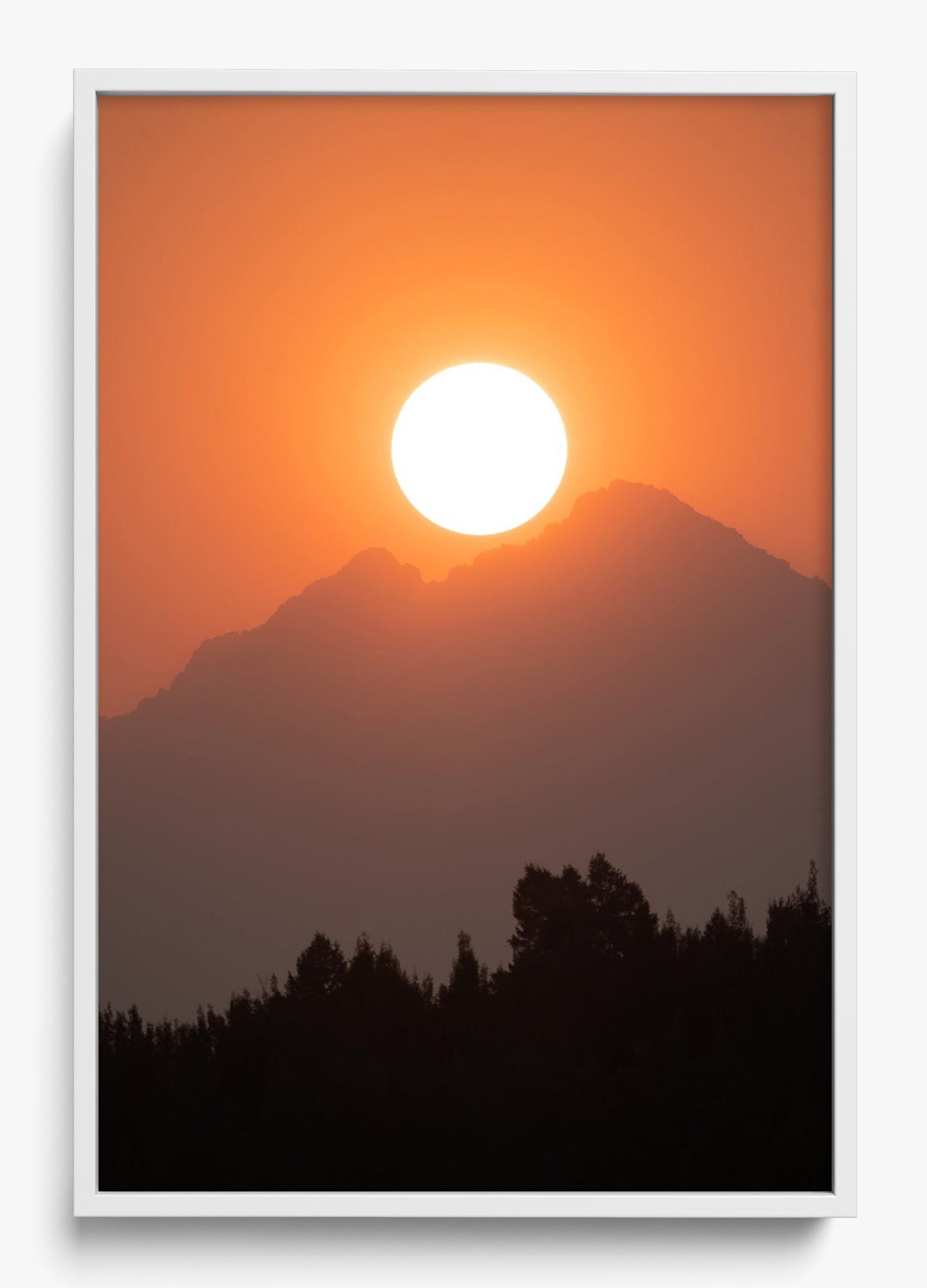 Rise And Fall