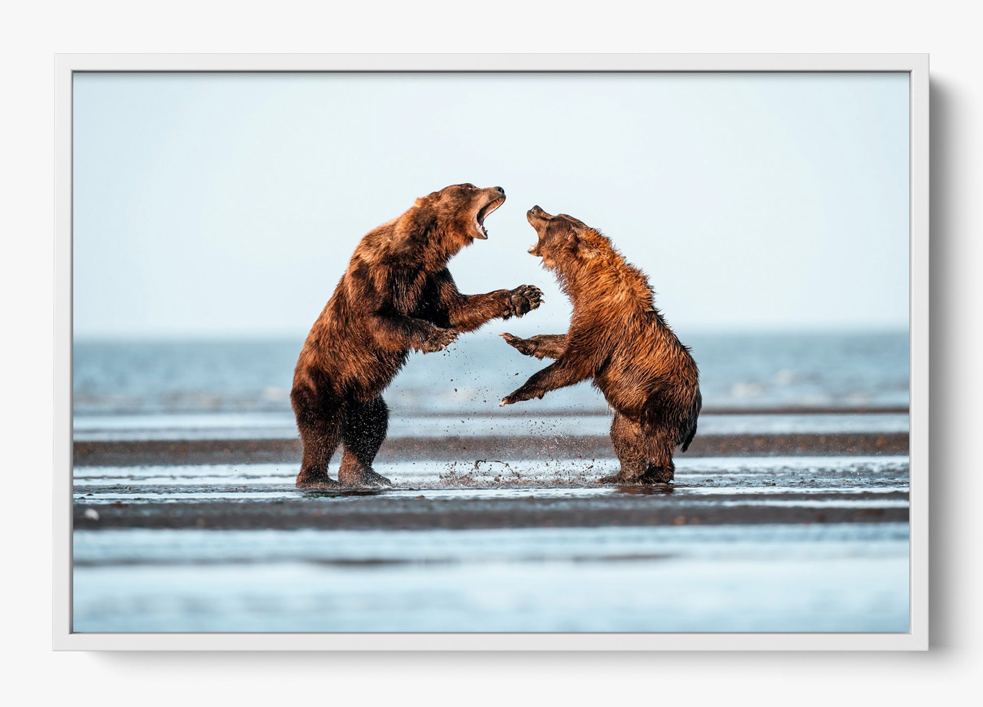 Rivalry