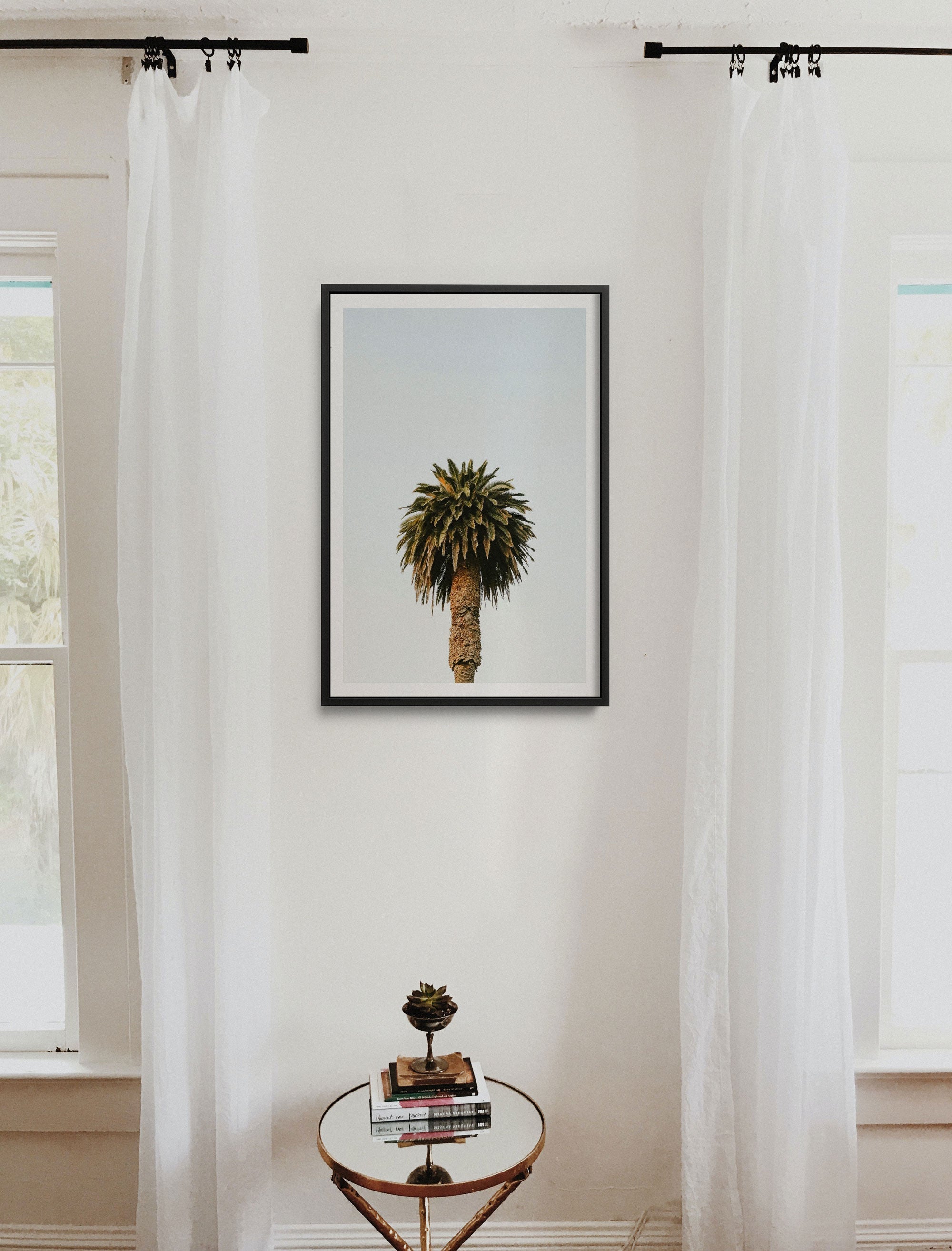 Morning Palm