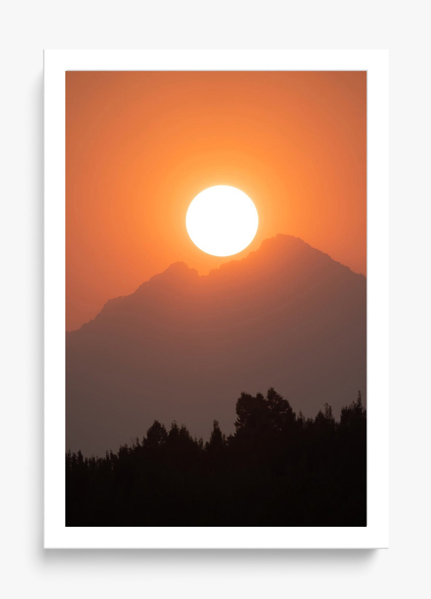 Rise And Fall