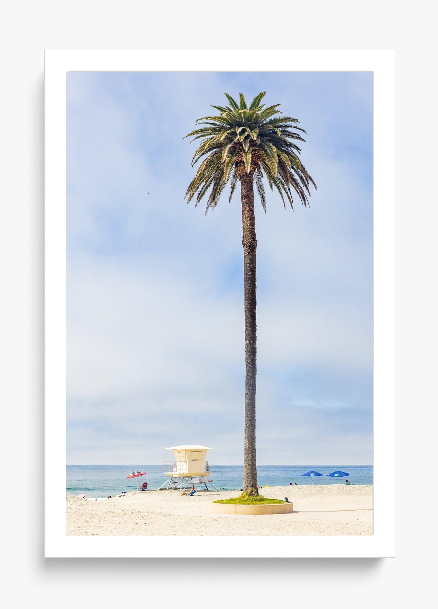 San Diego Palms