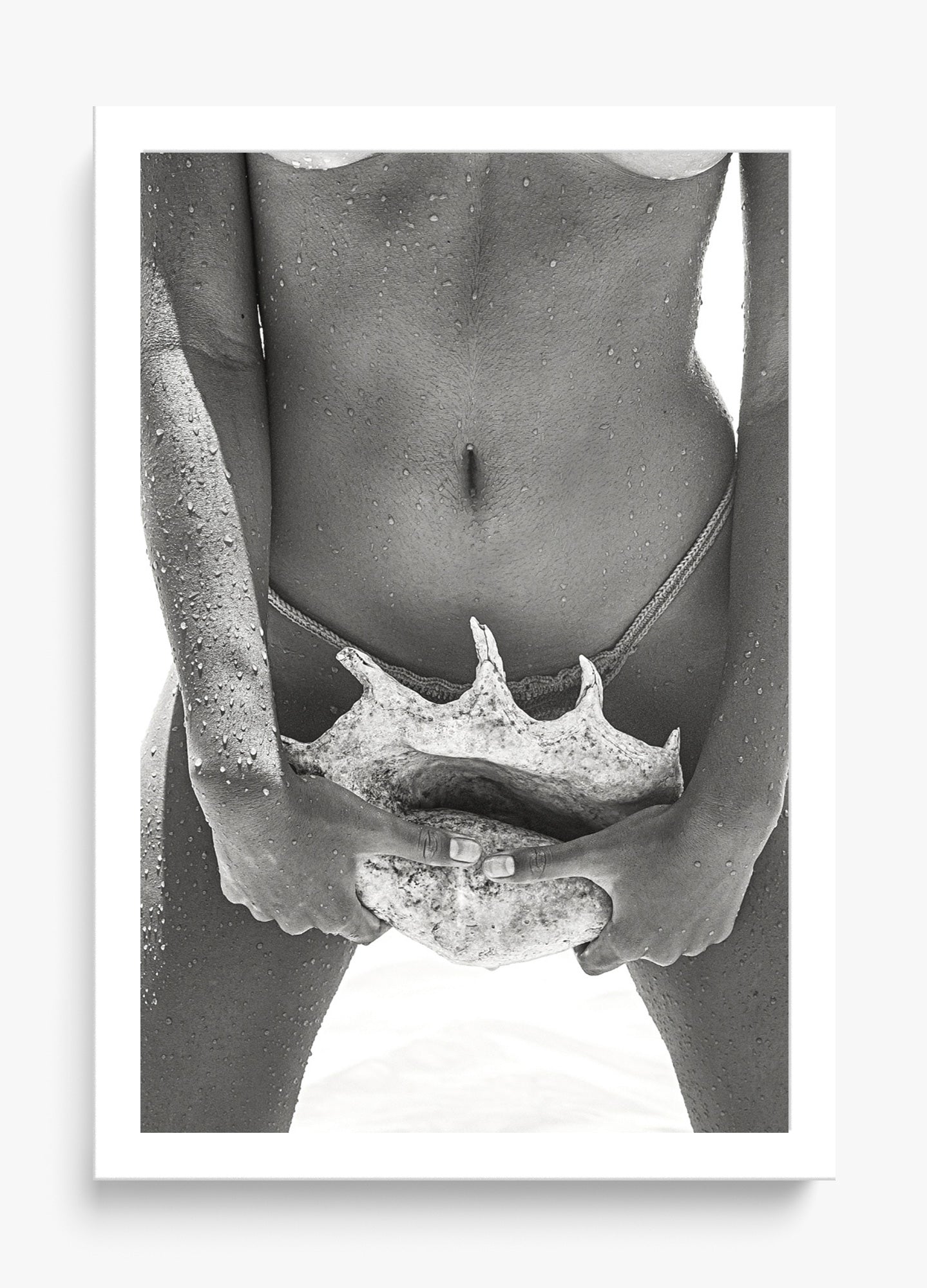 Her Seashell