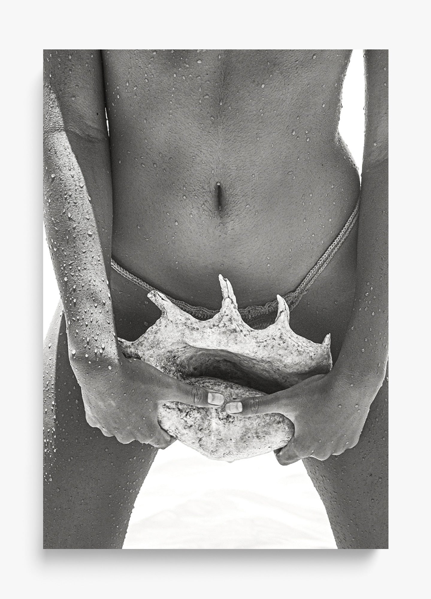 Her Seashell