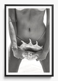 Her Seashell