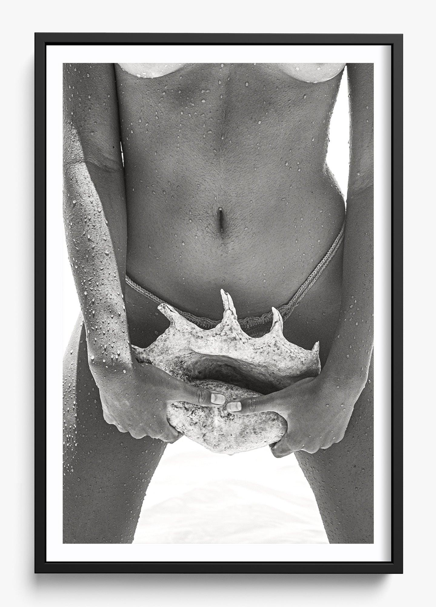 Her Seashell