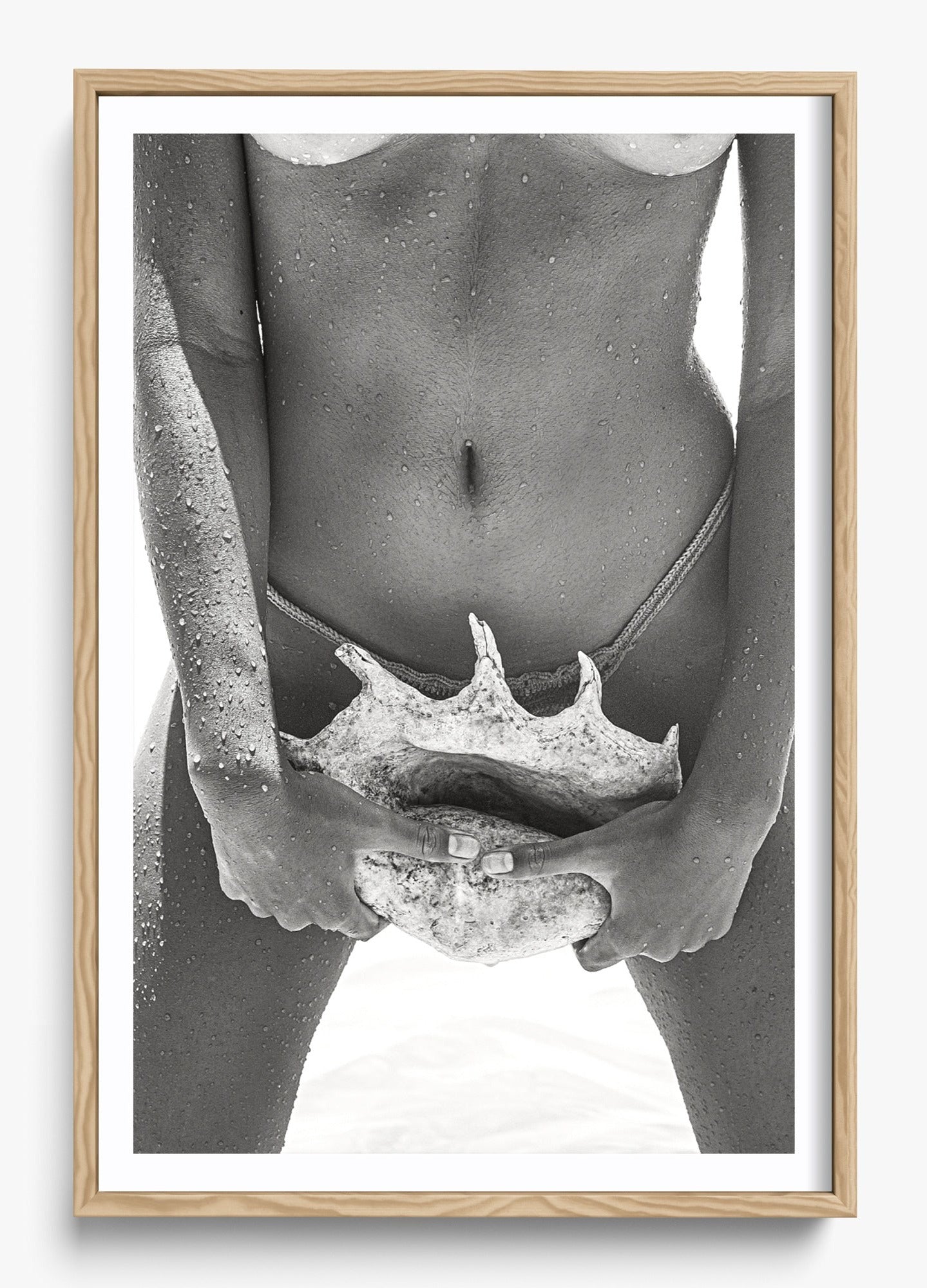 Her Seashell