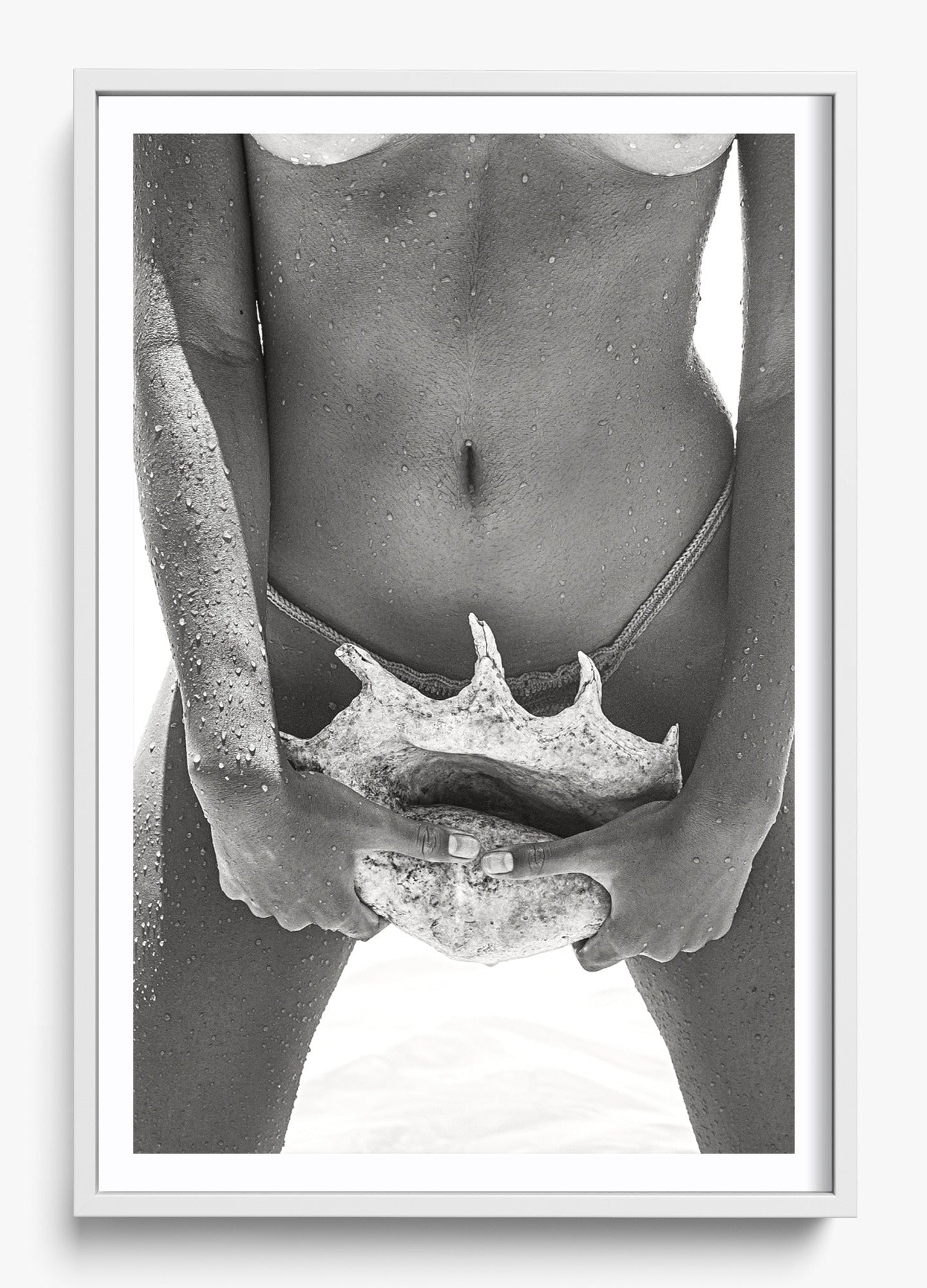 Her Seashell