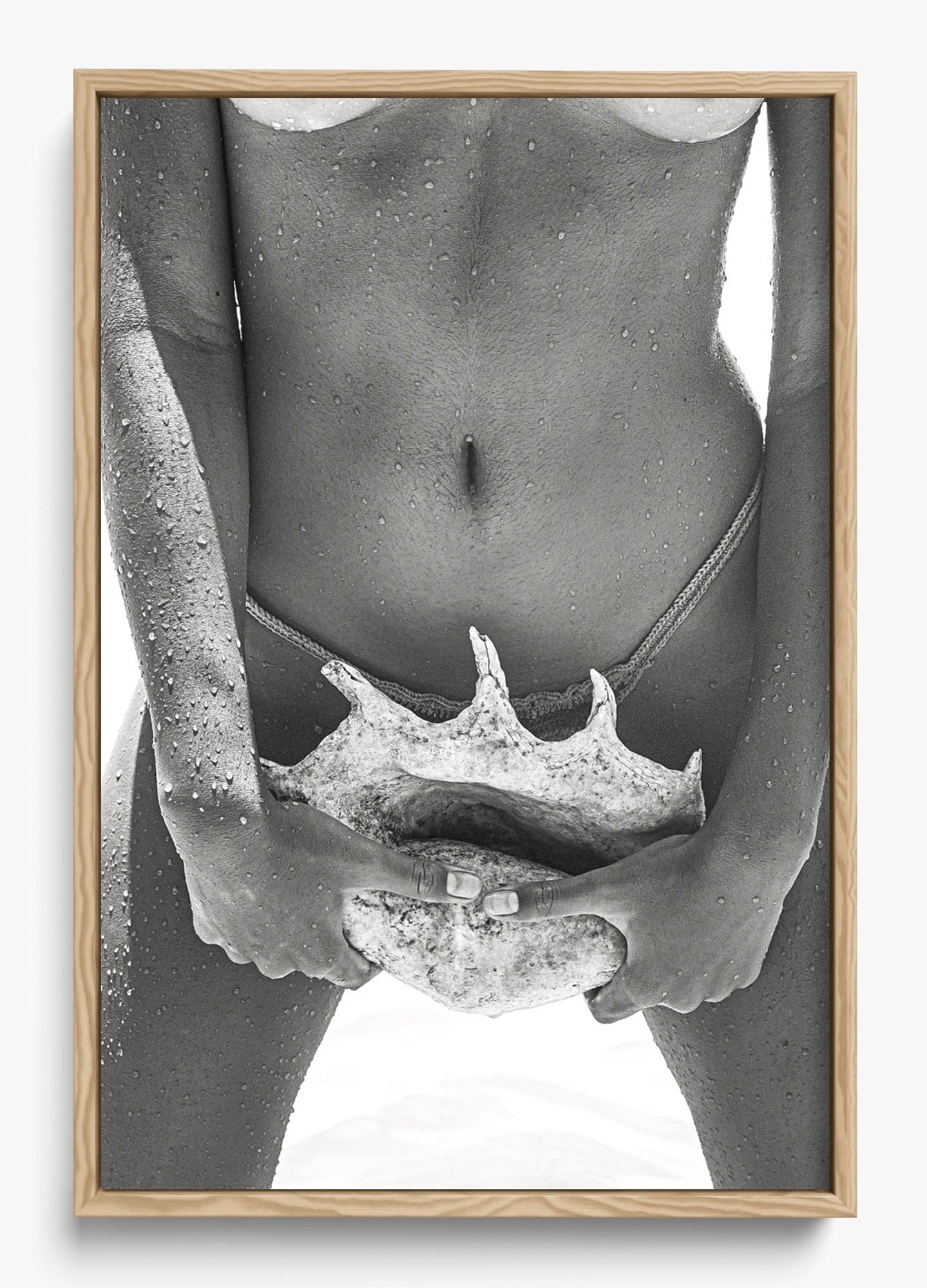 Her Seashell