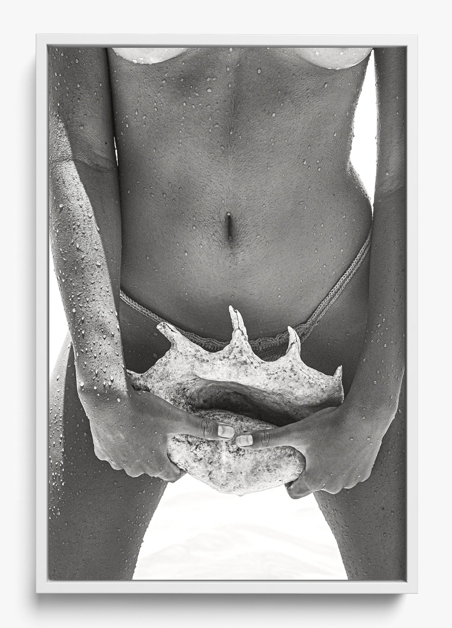 Her Seashell