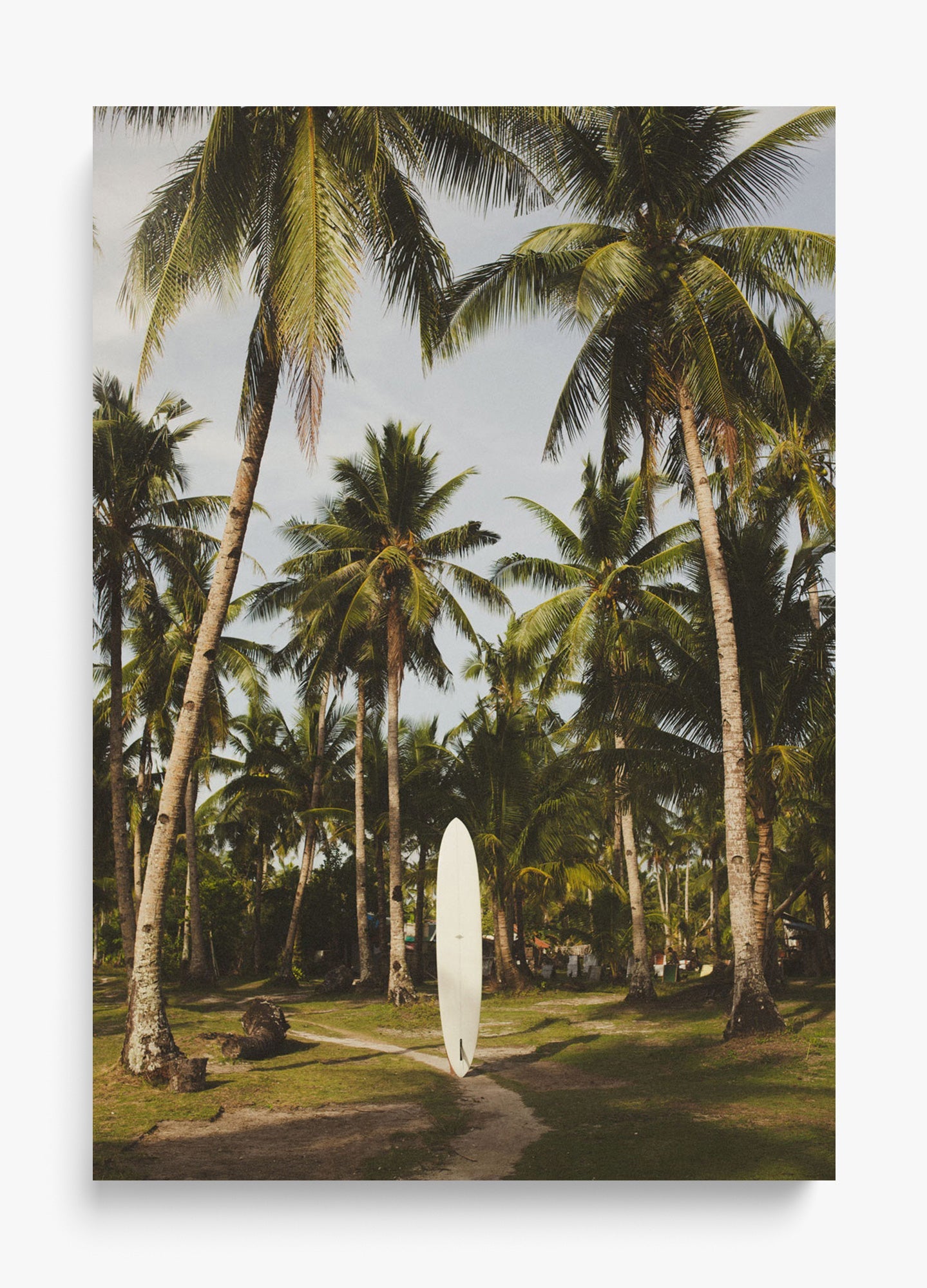Summer Awaits