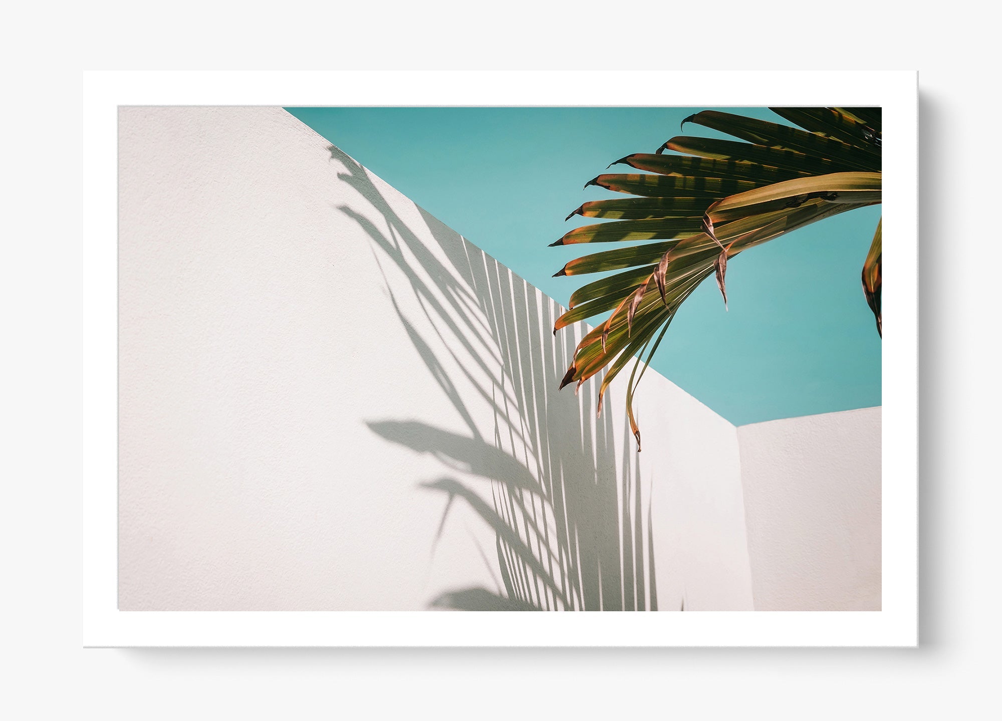 Summer Shadow
