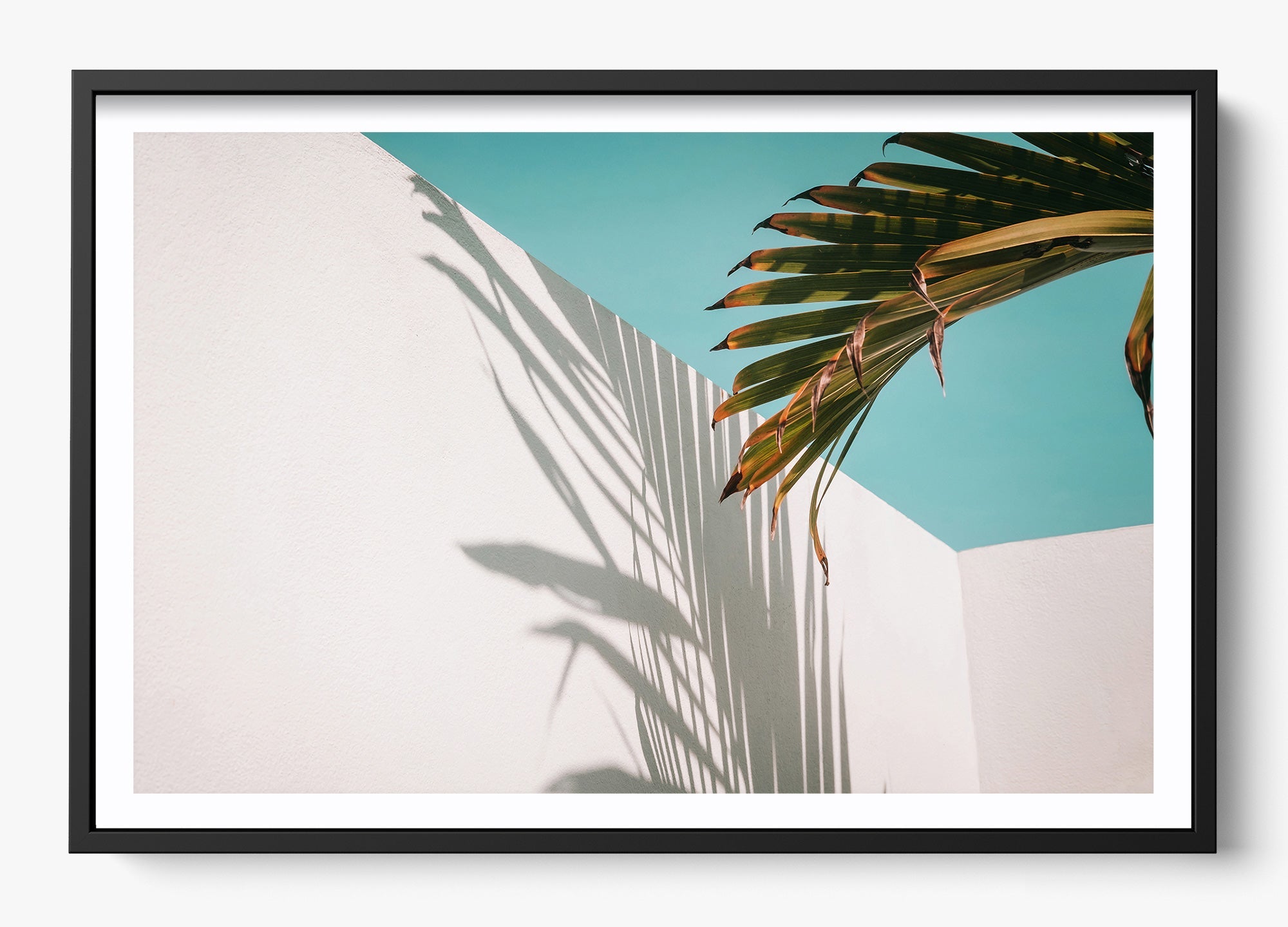Summer Shadow