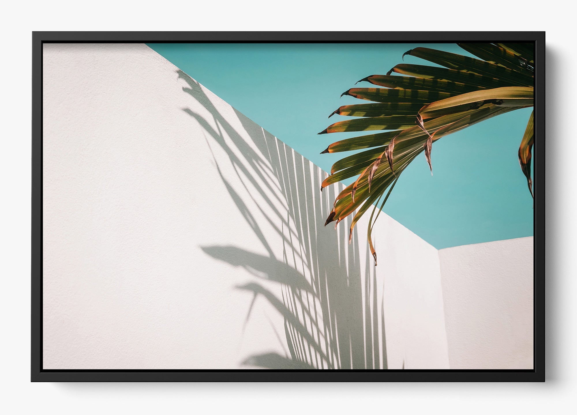 Summer Shadow