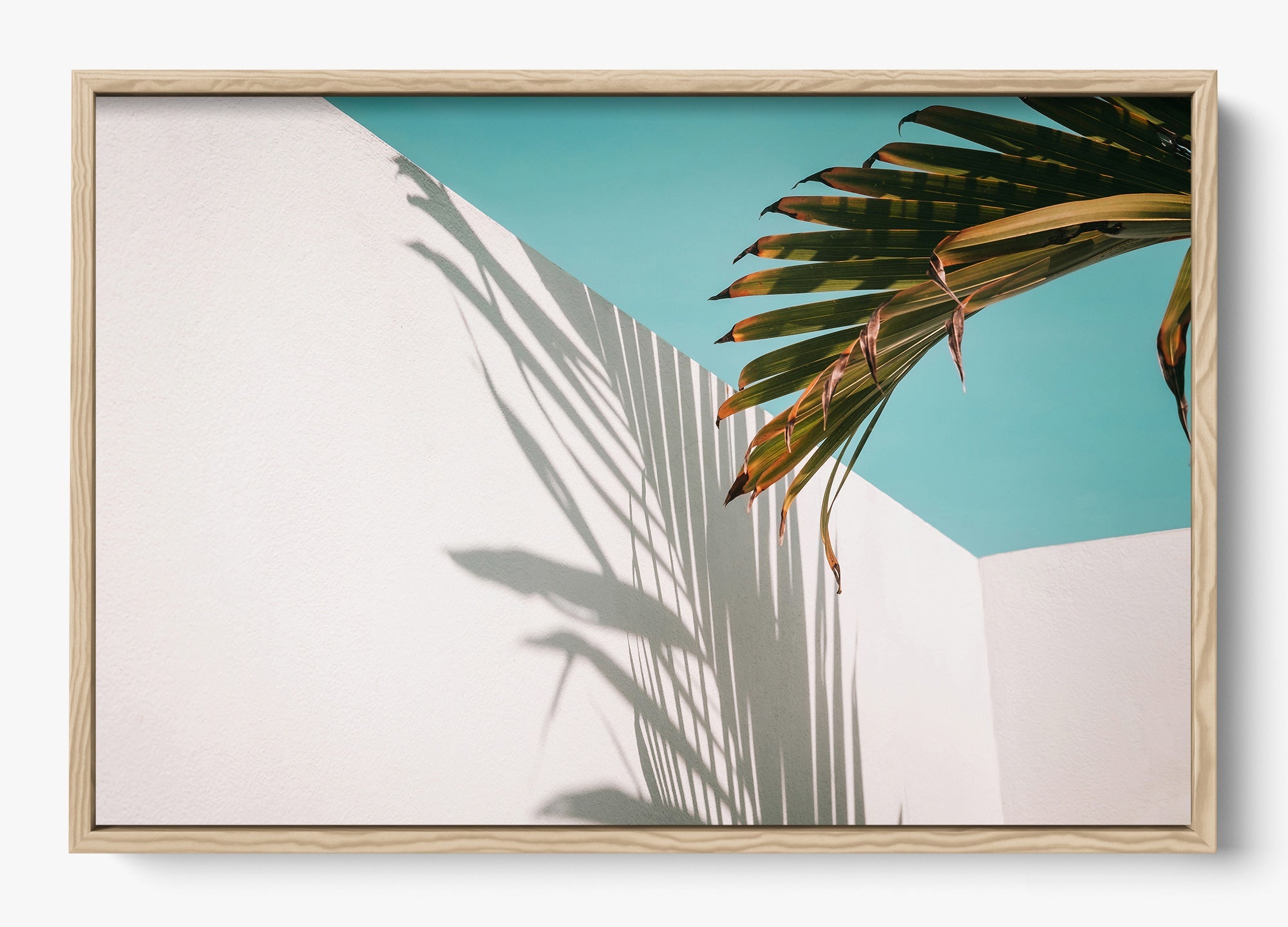 Summer Shadow