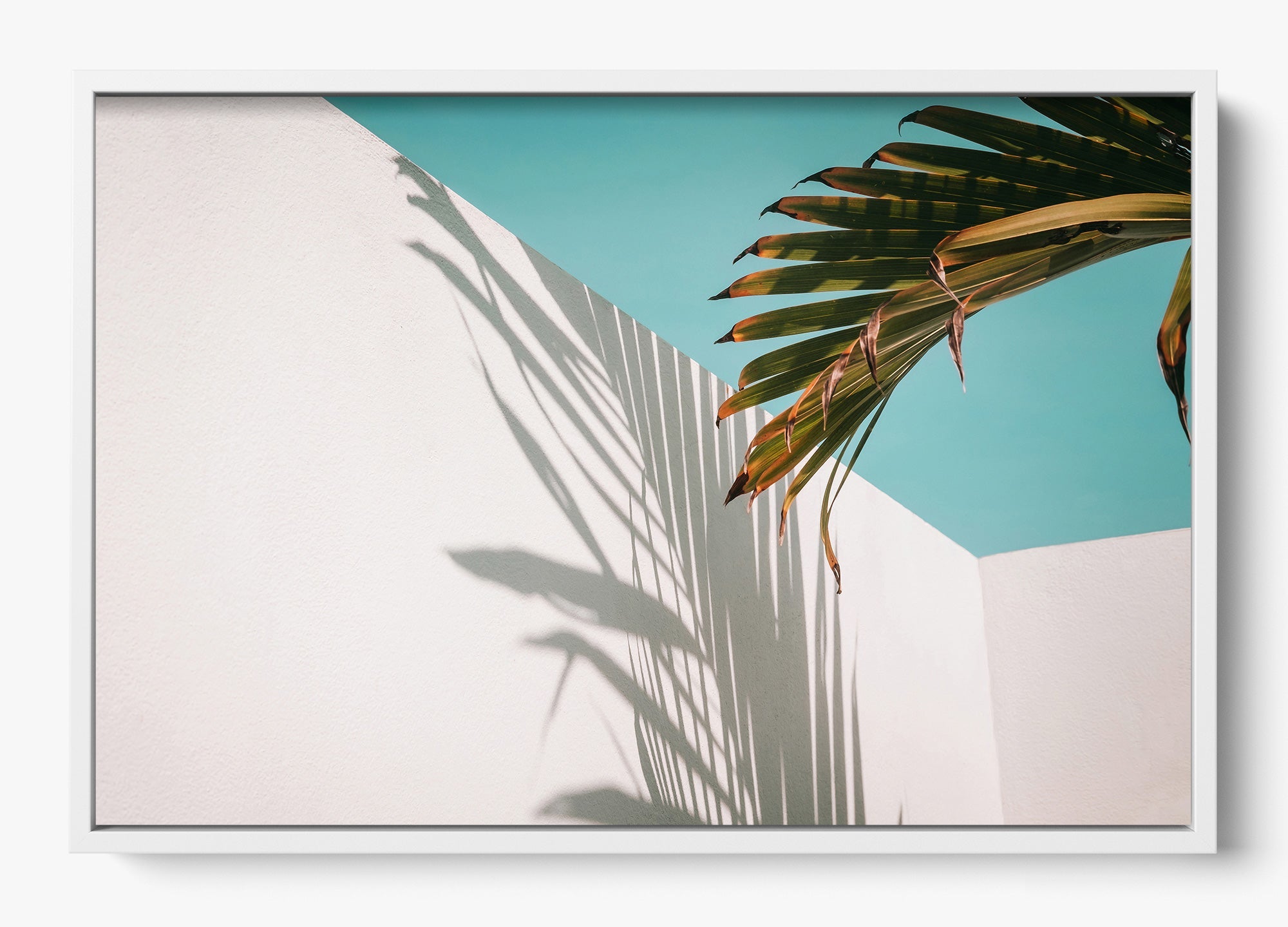 Summer Shadow