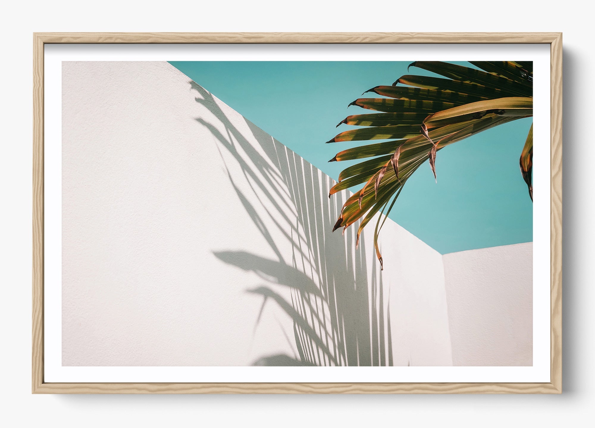 Summer Shadow