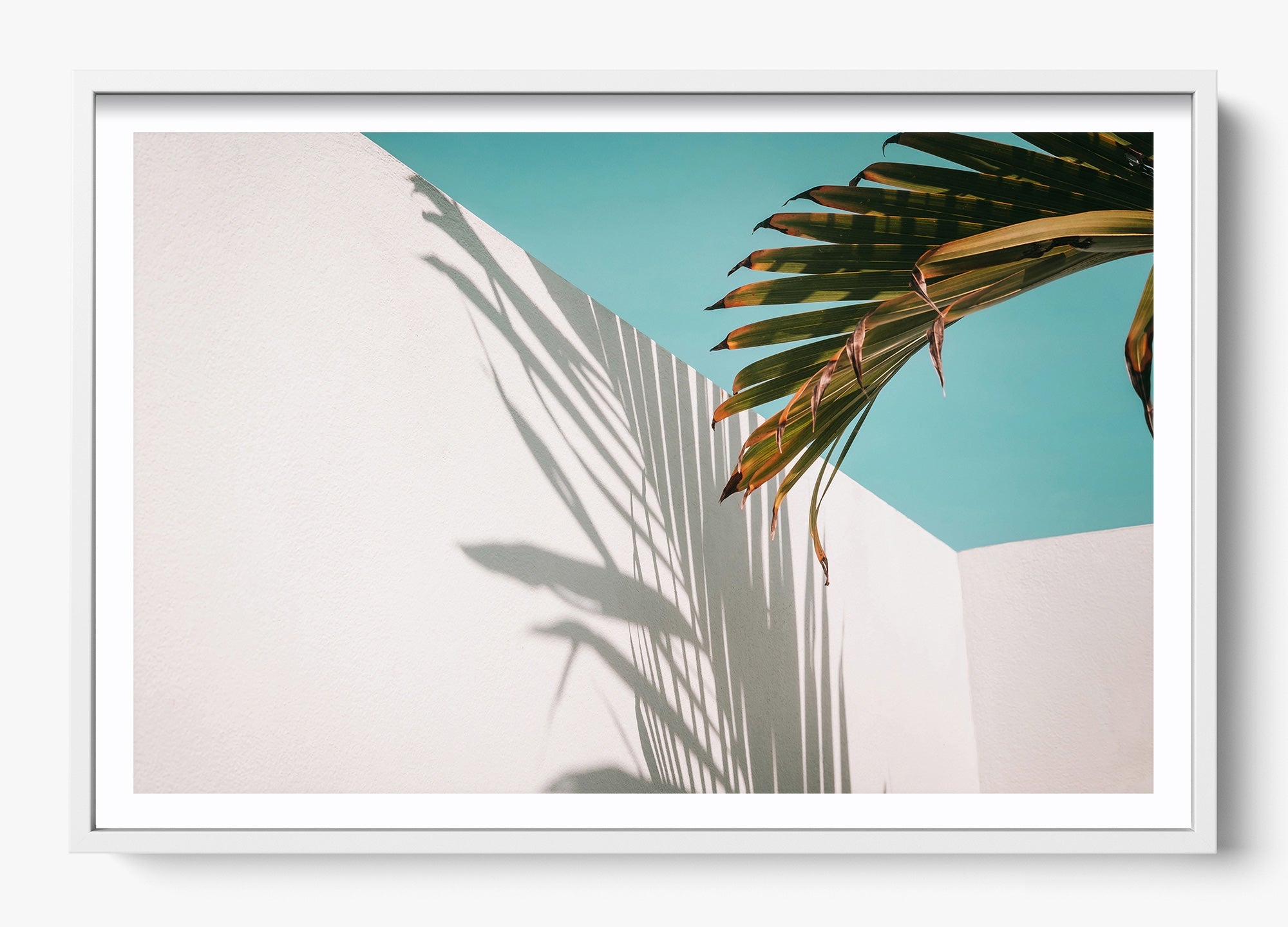 Summer Shadow