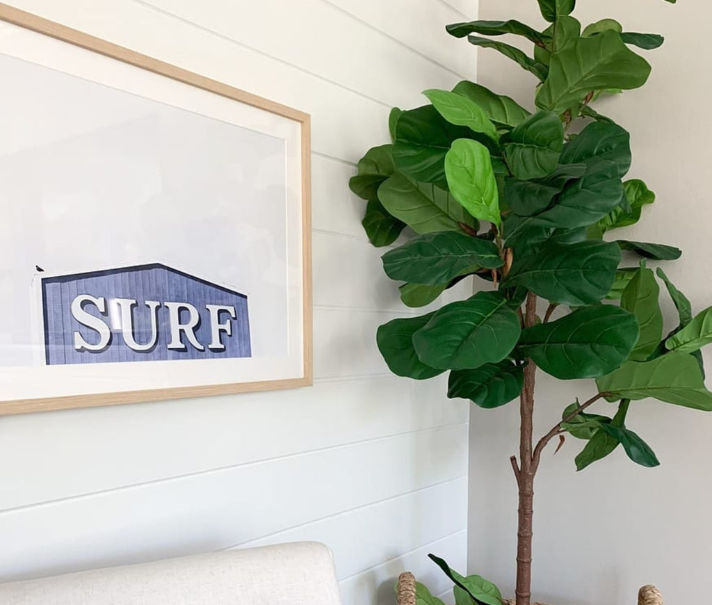 Surf Mendocino