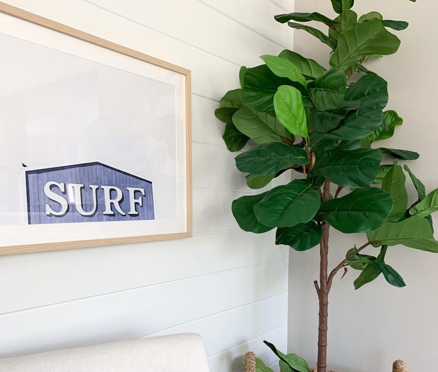 Surf Mendocino