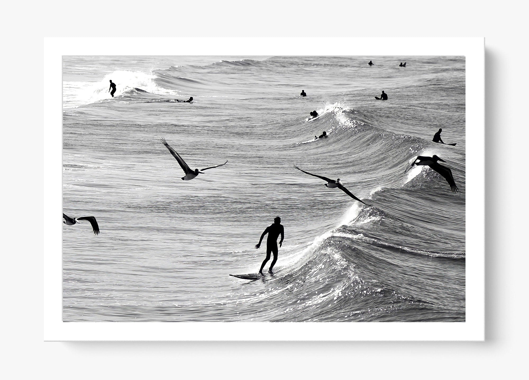 Surfing With The Free