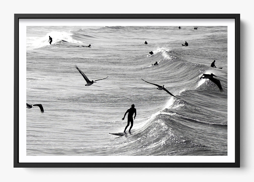 Surfing With The Free
