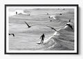 Surfing With The Free