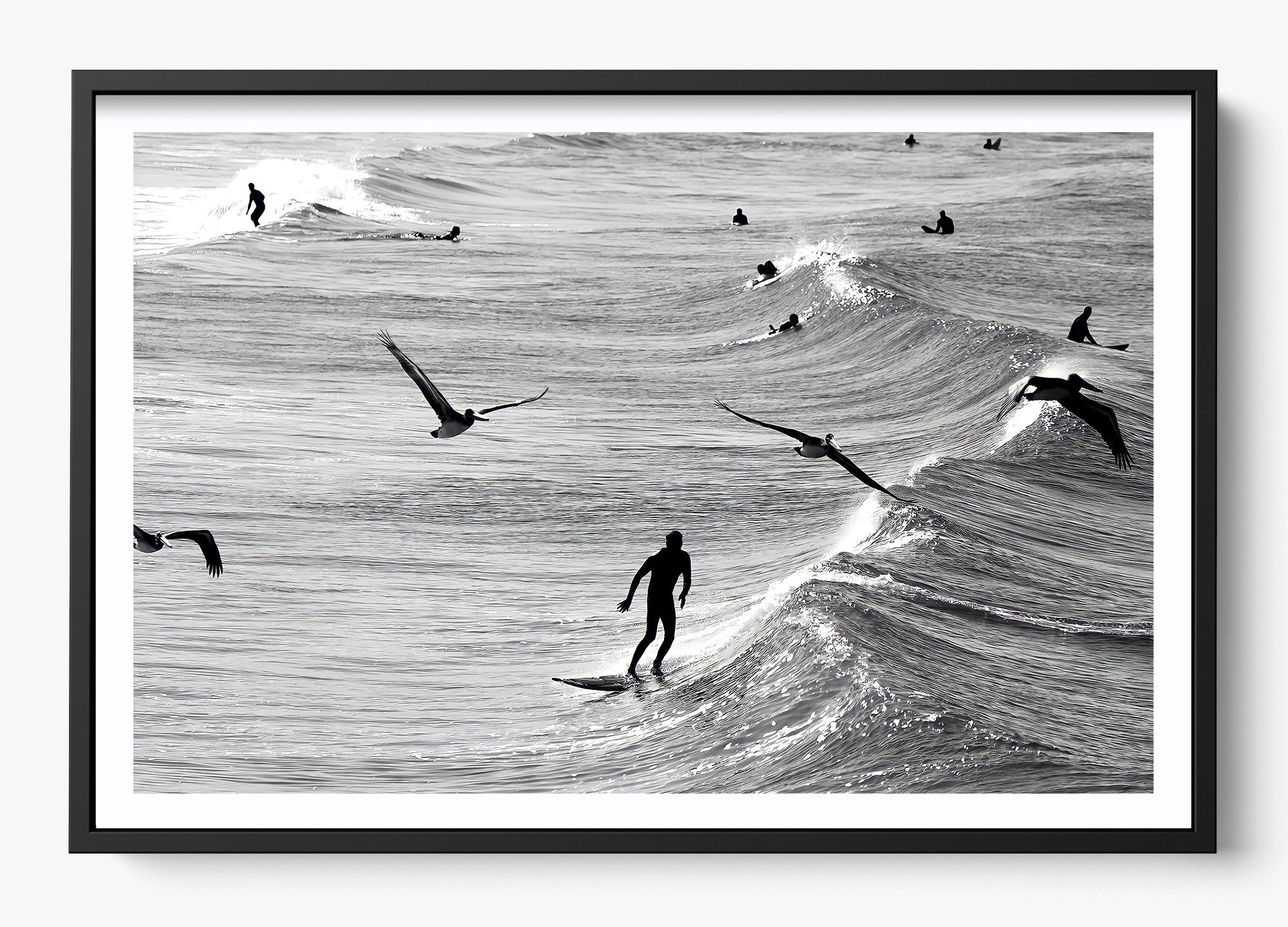 Surfing With The Free