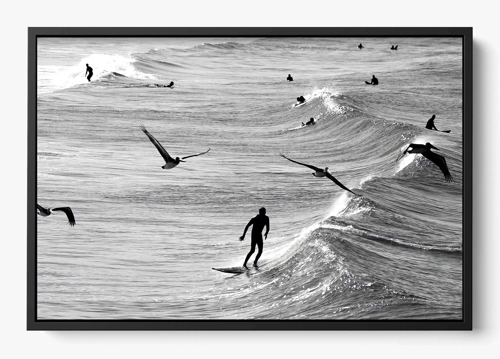 Surfing With The Free