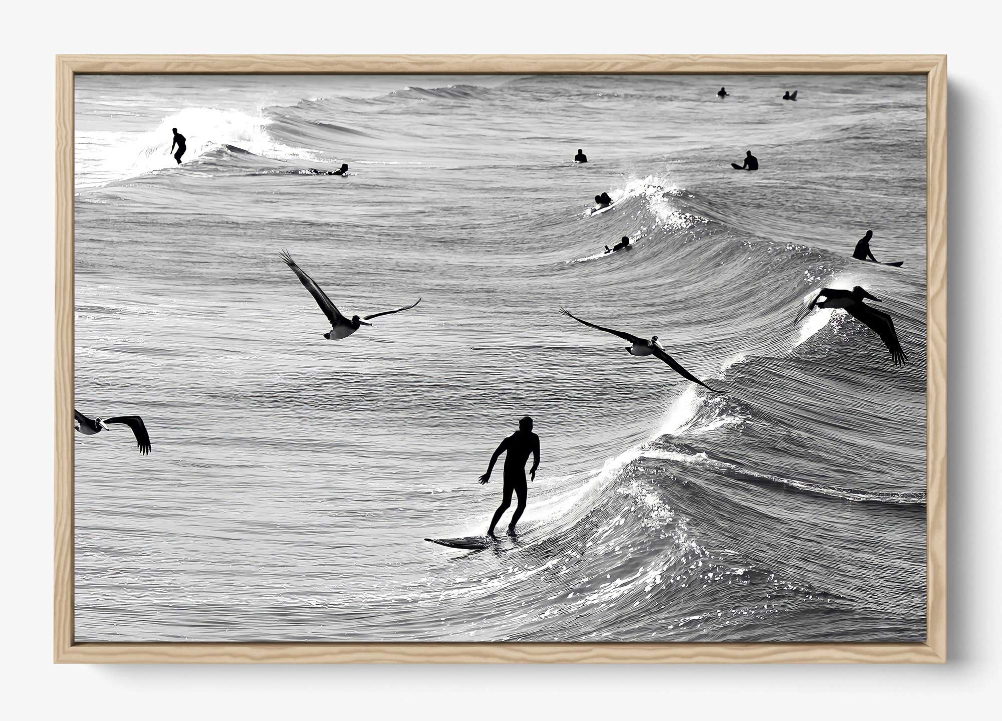 Surfing With The Free