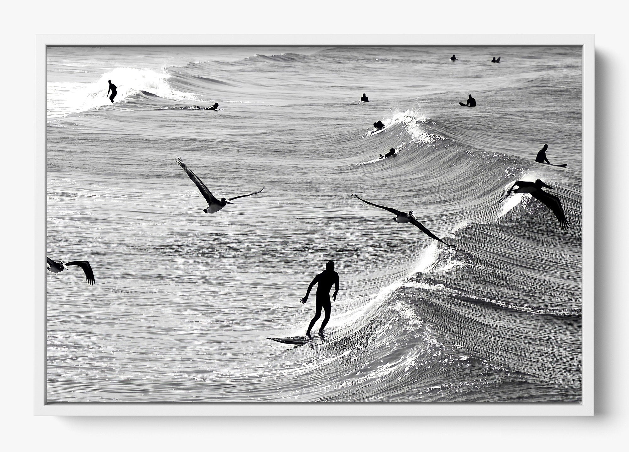 Surfing With The Free
