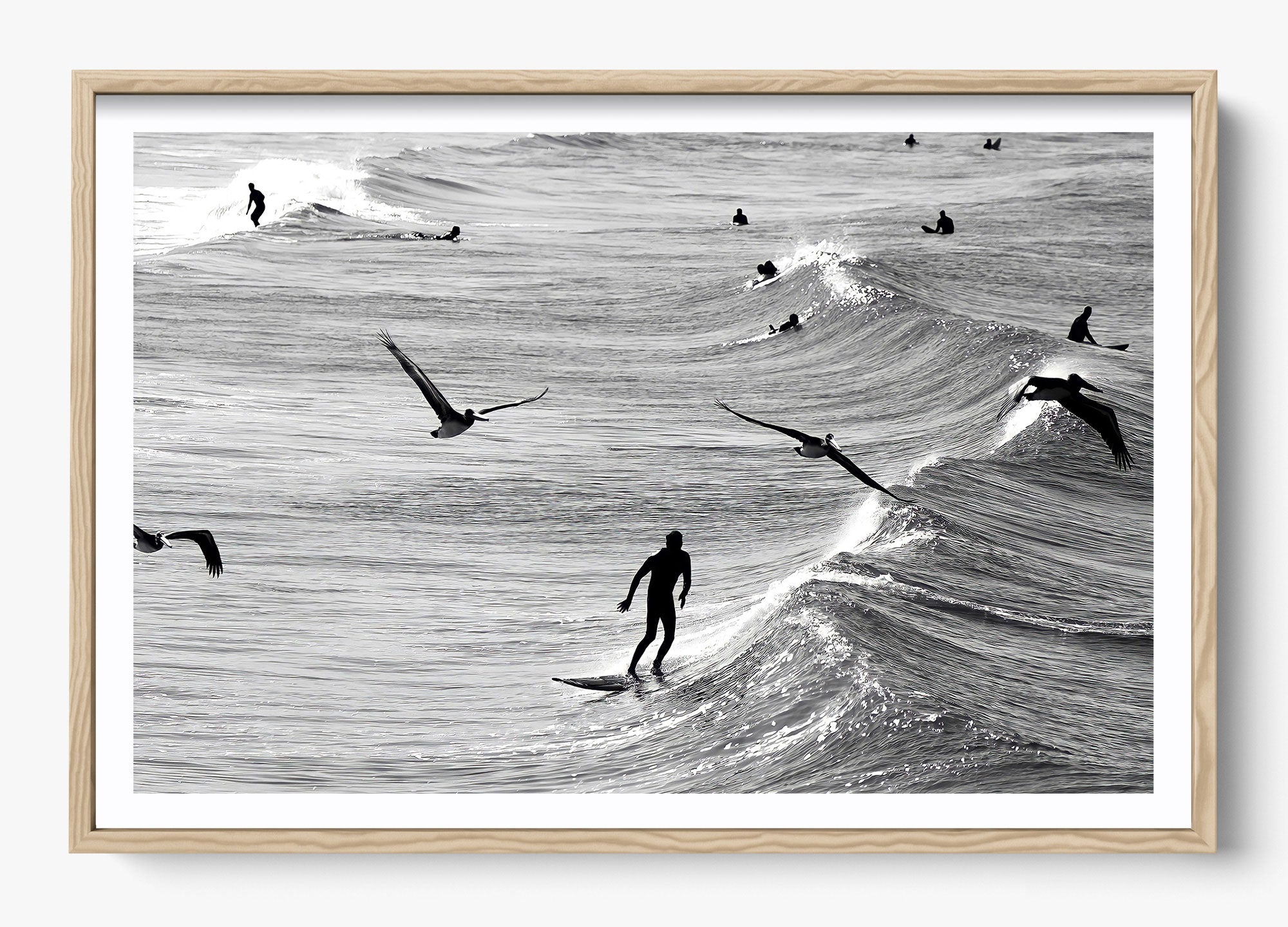 Surfing With The Free